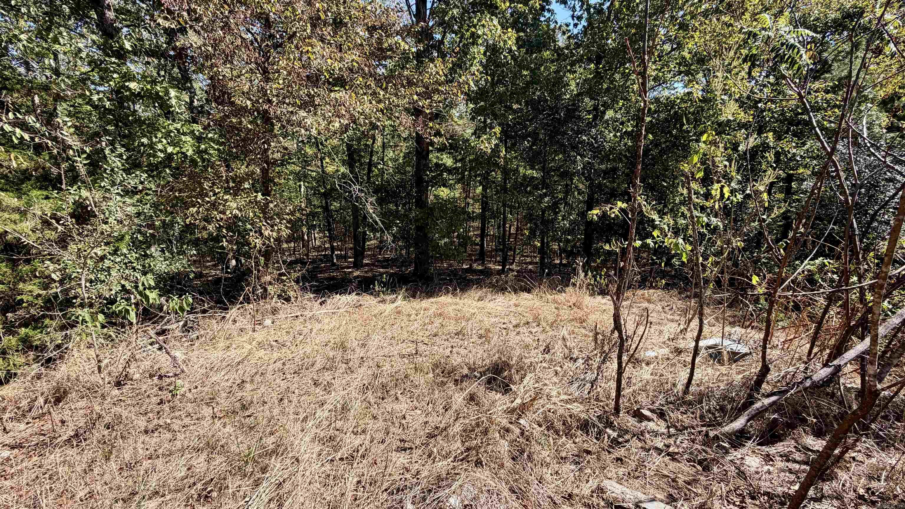 265 Emily Grace Lane Property Photo 6
