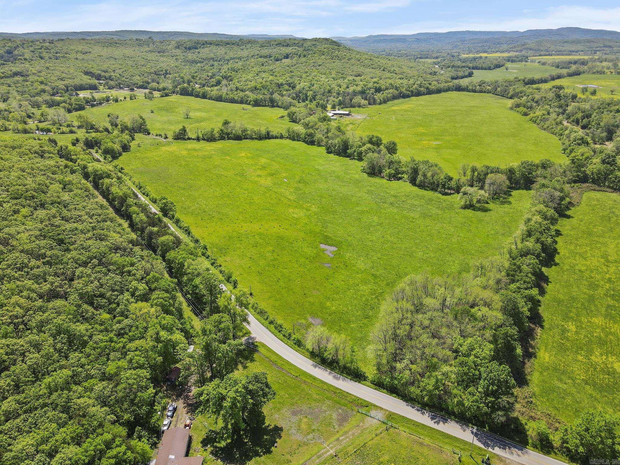 Tbd Mount Olive Road Property Photo 2