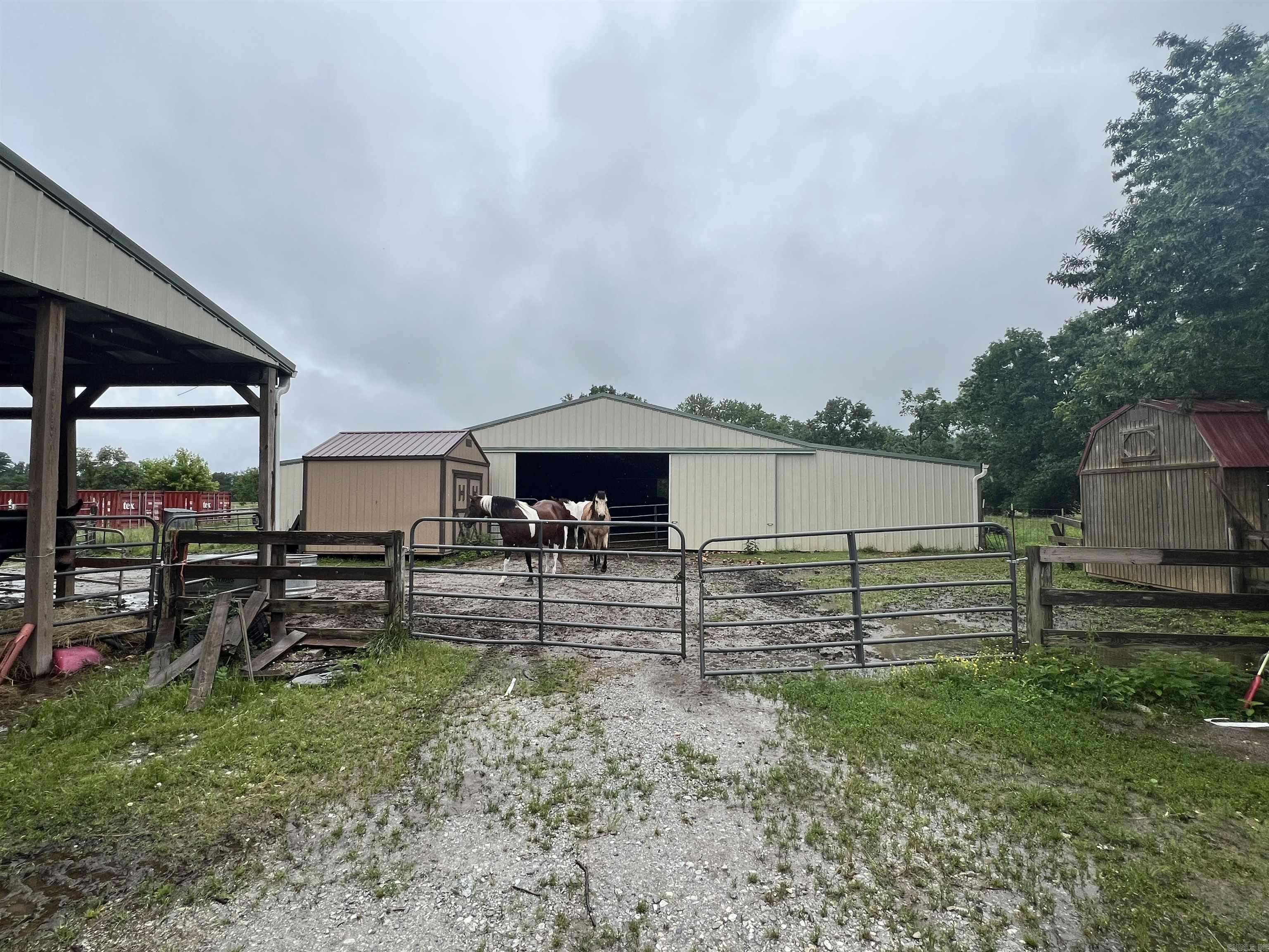 10831 Bray Road Property Photo 10