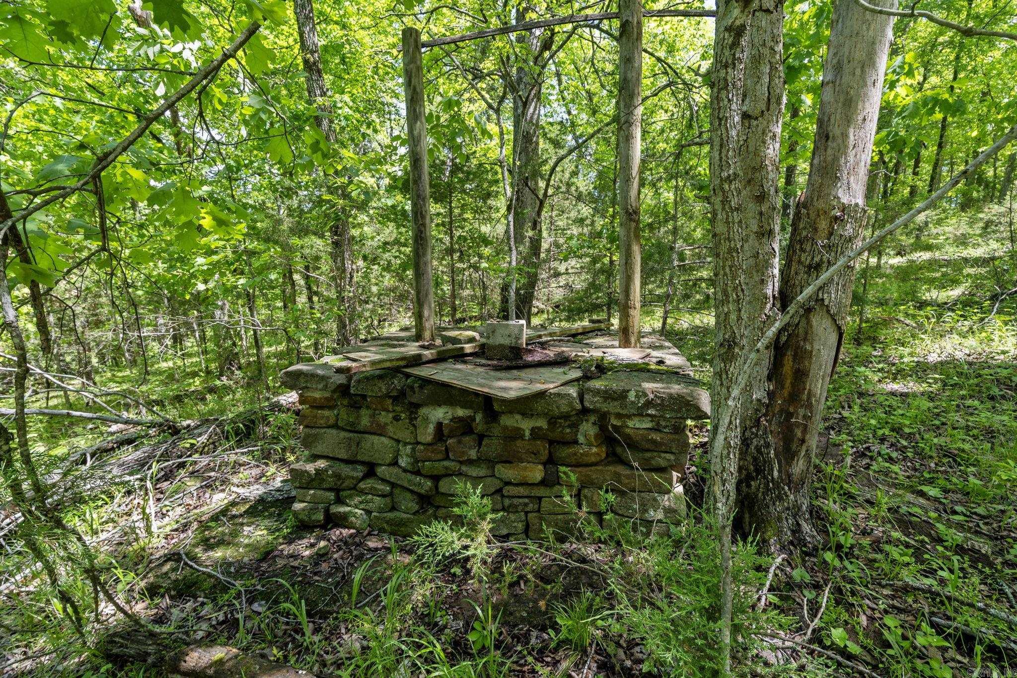 10836 Bray Road Property Photo 21
