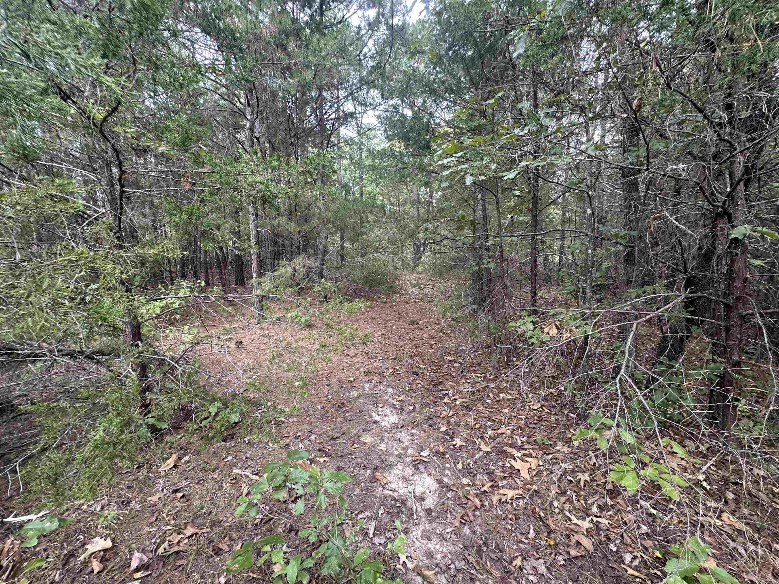 682 Jones Farm Rd Property Photo 19