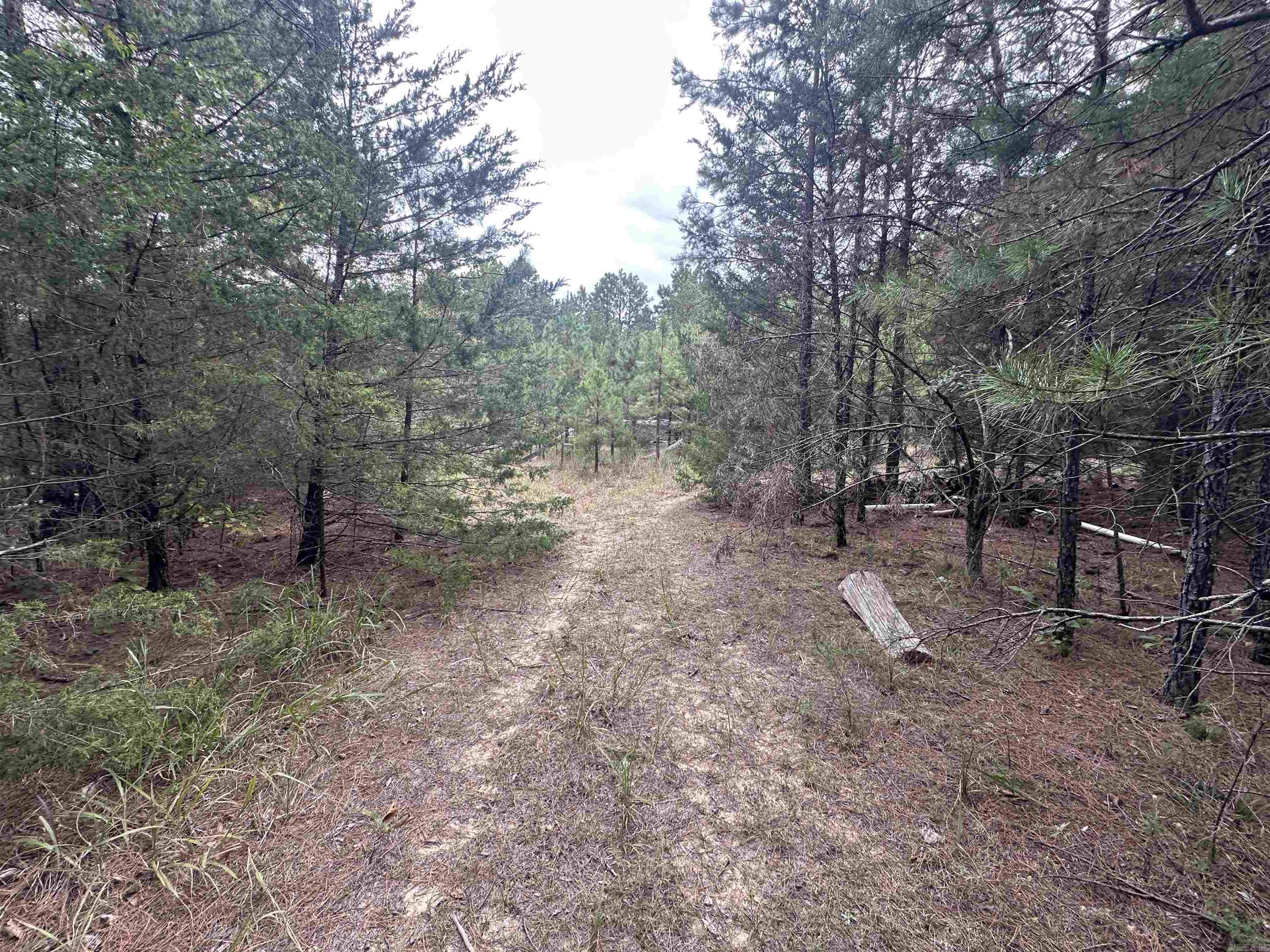 682 Jones Farm Rd Property Photo 20