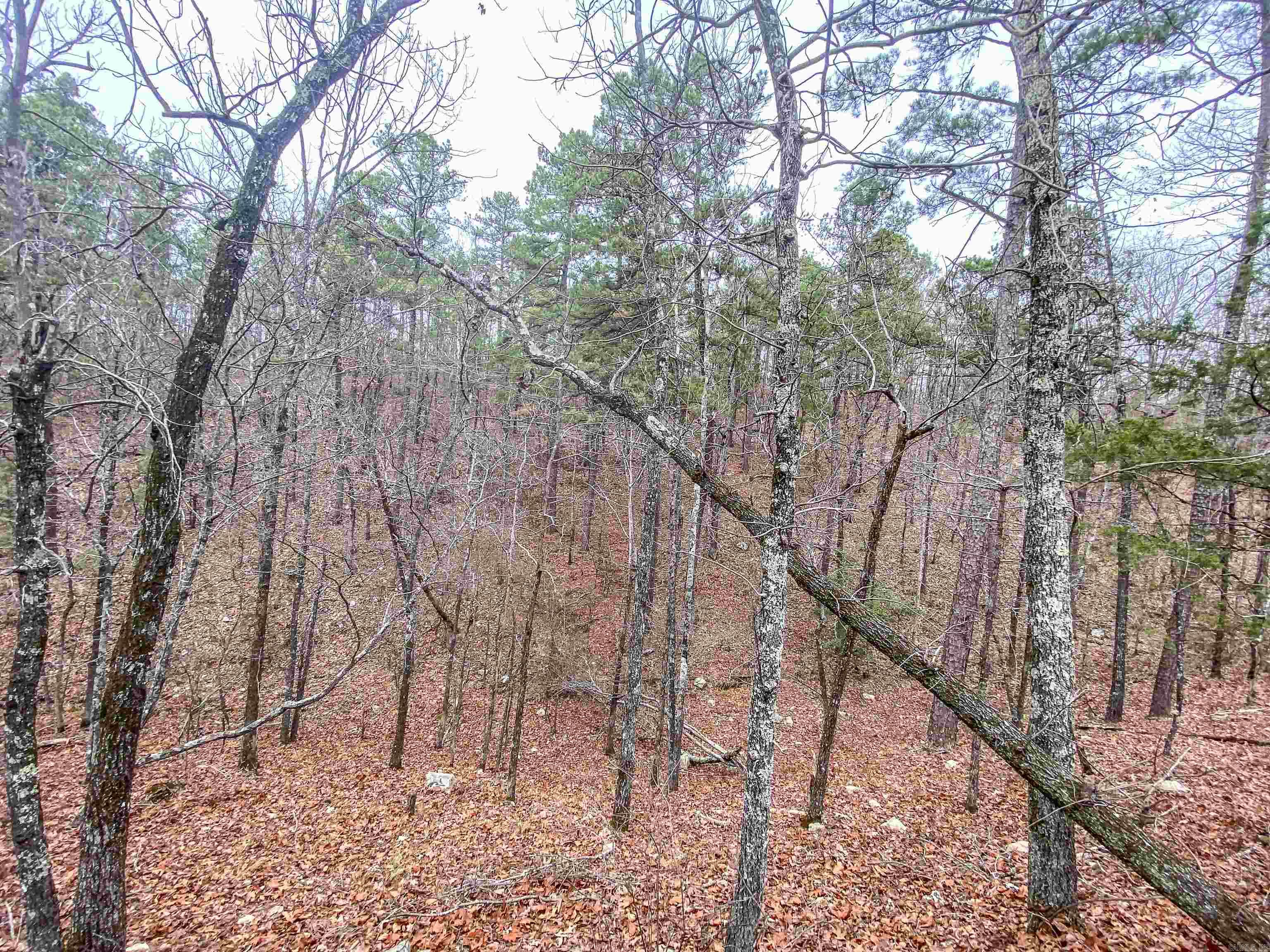 000 Shorthorn Lane Property Photo 19