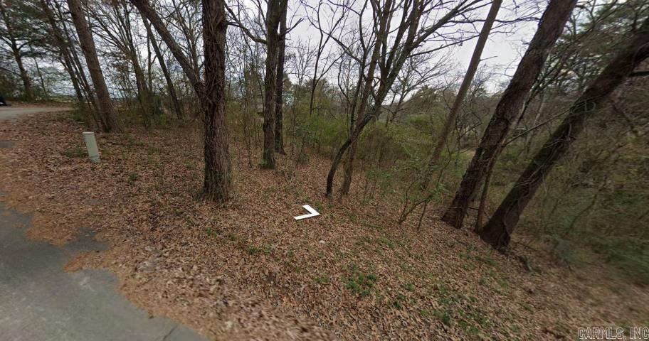 Tbd Dickson Street Property Photo 2
