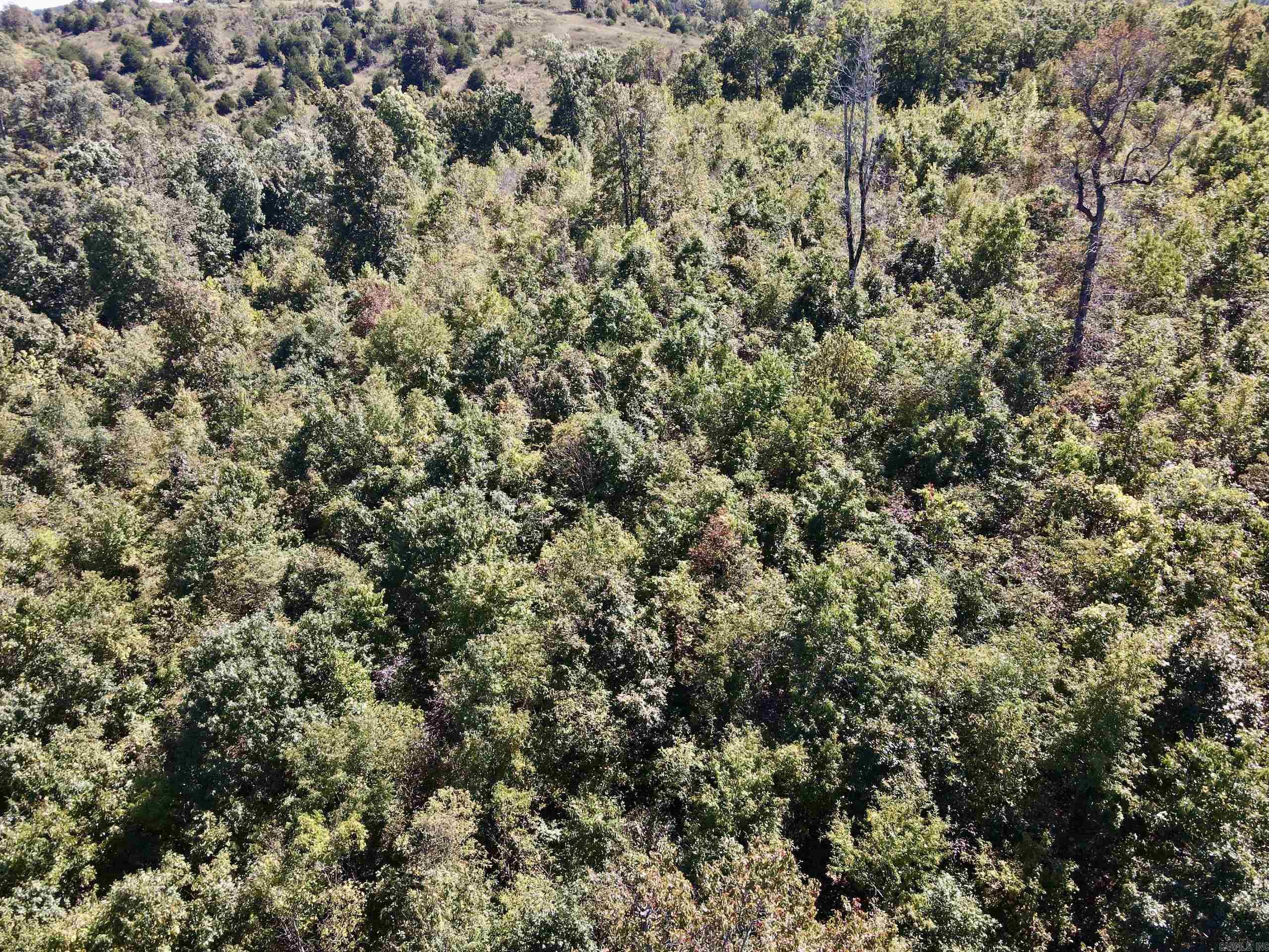 000 Ashwood Dr. Property Photo 16