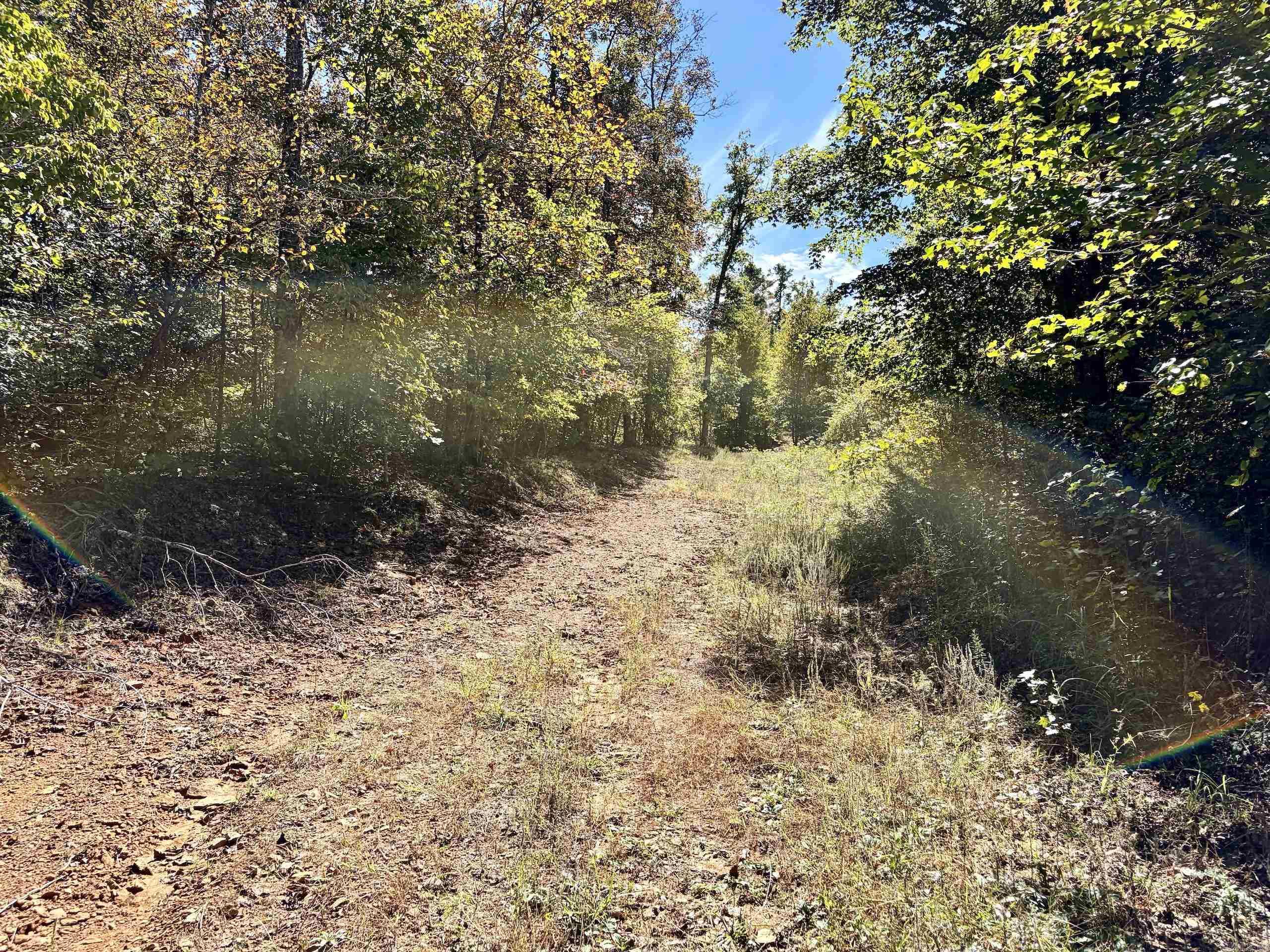 000 Ashwood Dr. Property Photo 28