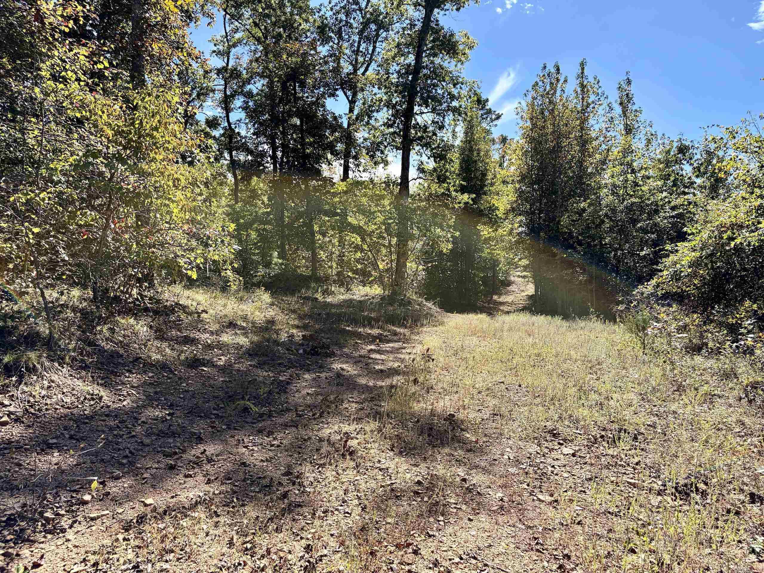 000 Ashwood Dr. Property Photo 29