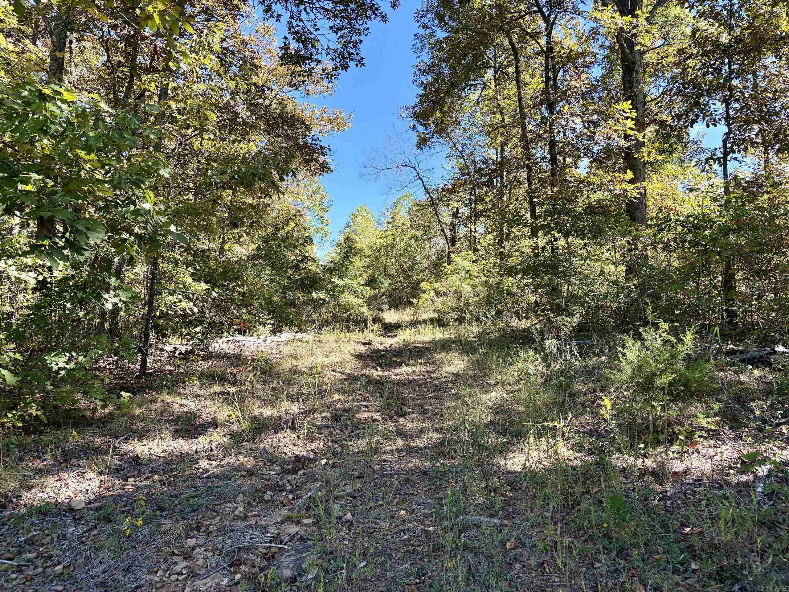 000 Ashwood Dr. Property Photo 31