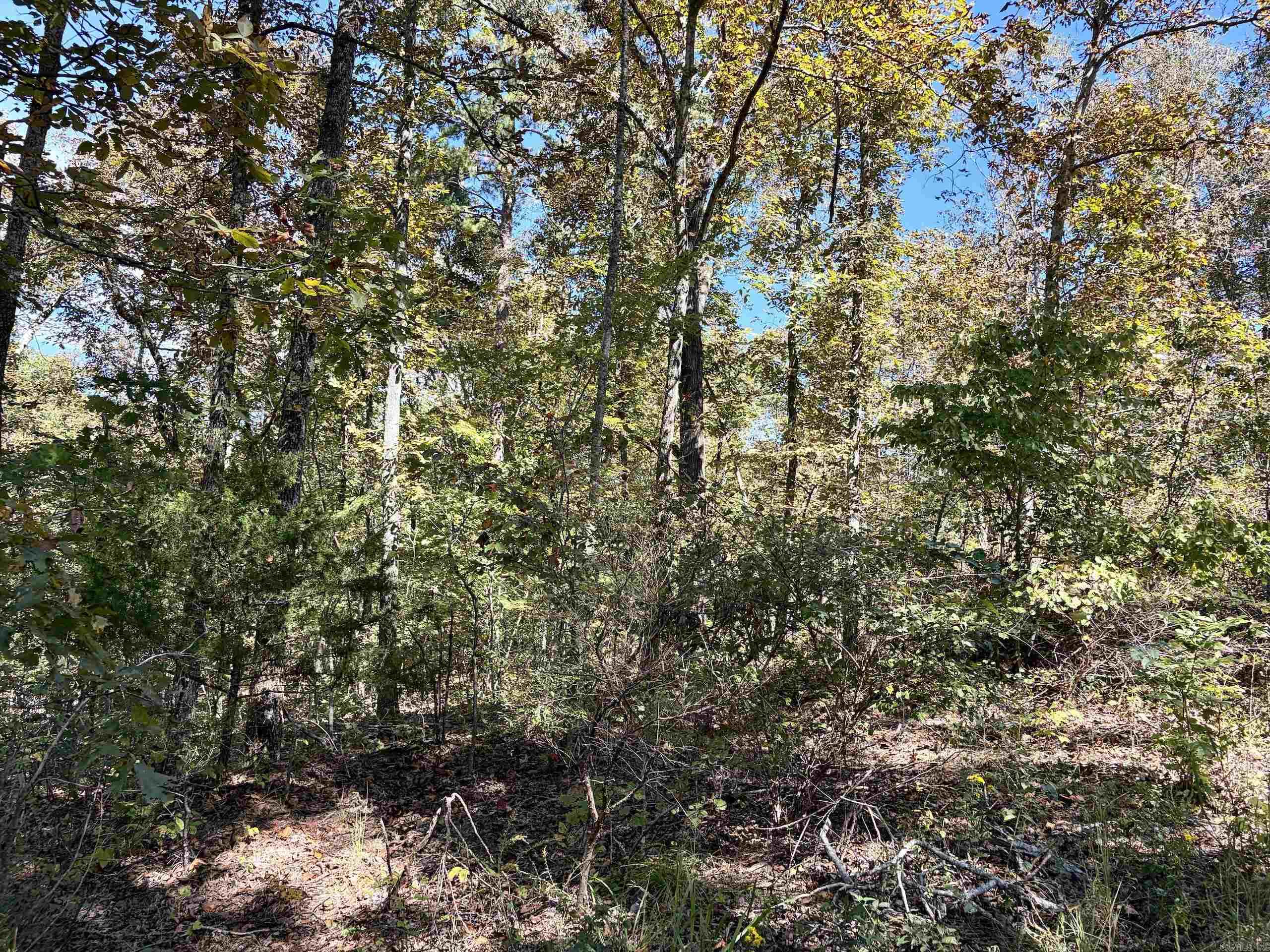 000 Ashwood Dr. Property Photo 32