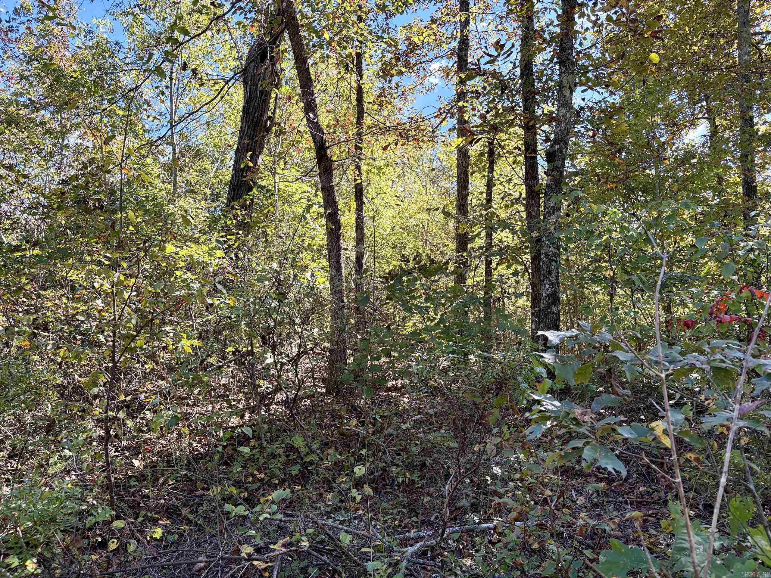 000 Ashwood Dr. Property Photo 36
