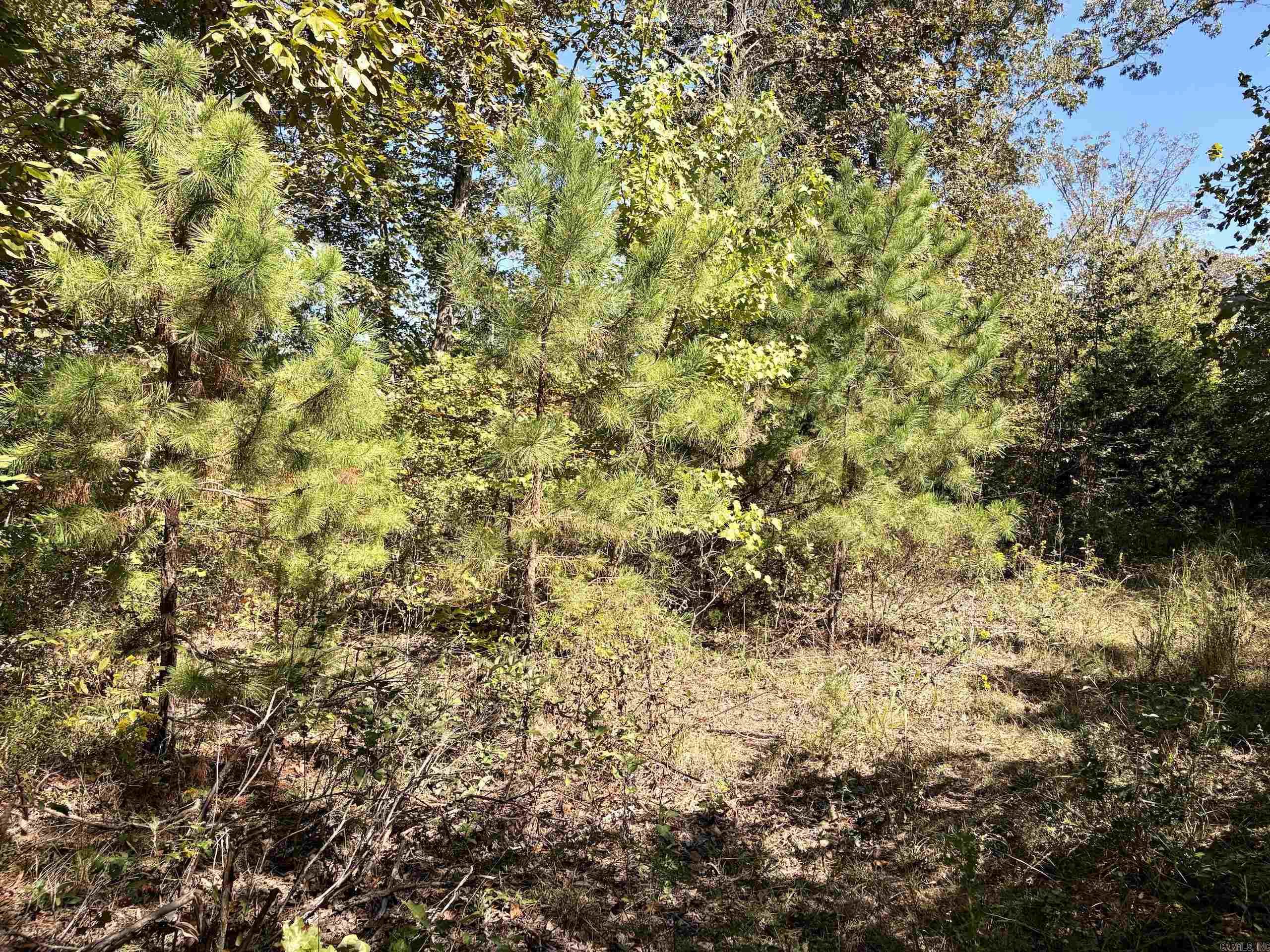 000 Ashwood Dr. Property Photo 37