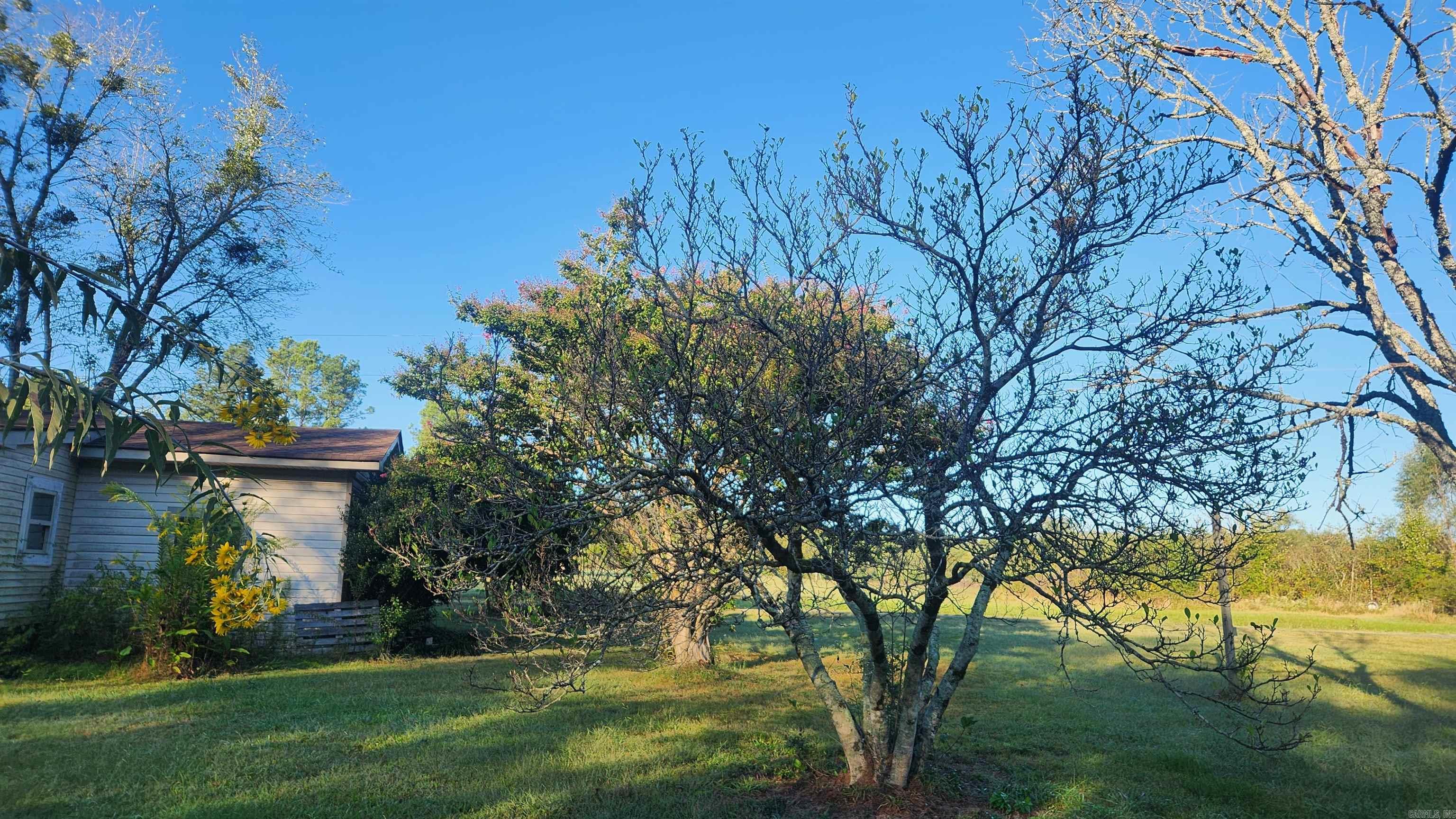 118 Rodney Ln Property Photo 15