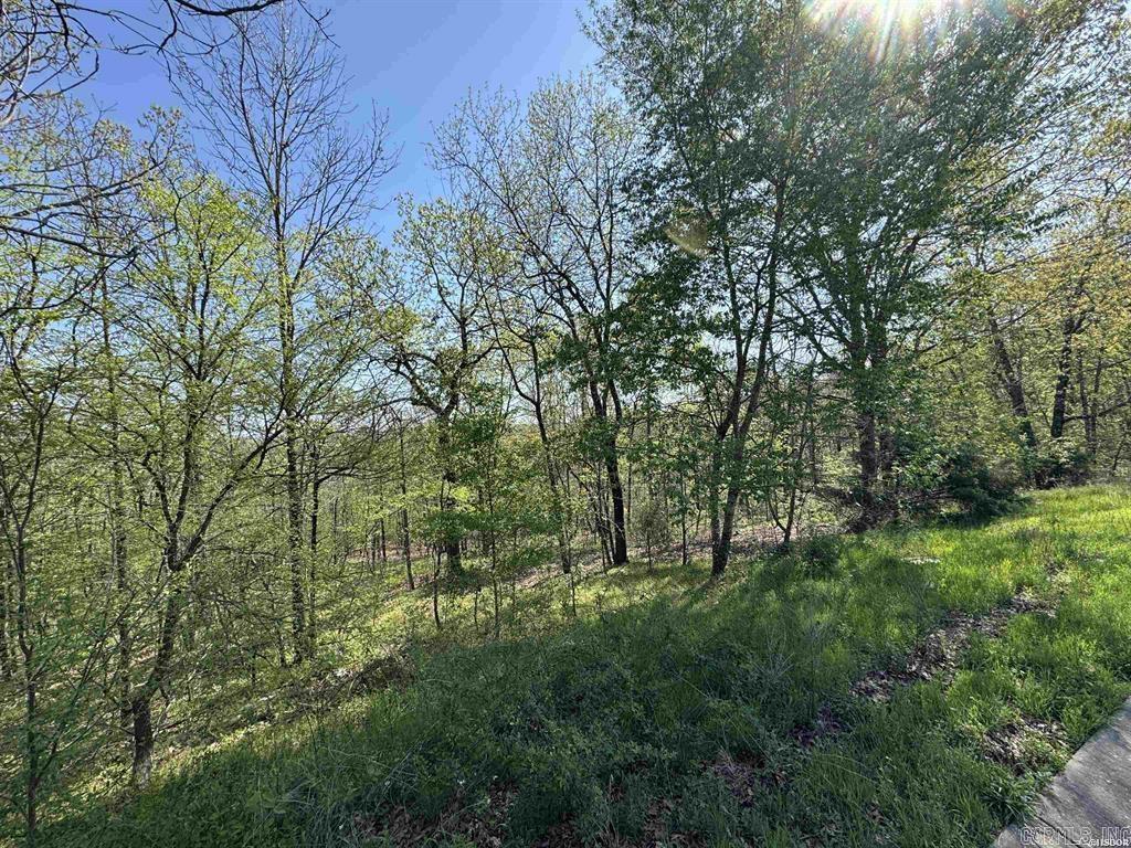 Xxx Covey Rise Trail Property Photo 1