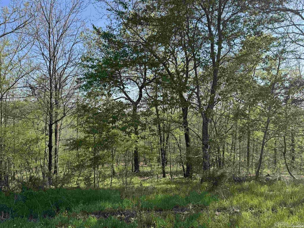 Xxx Covey Rise Trail Property Photo 2