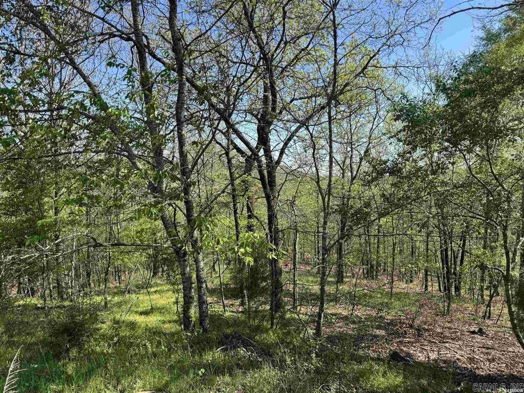 Xxx Covey Rise Trail Property Photo 3