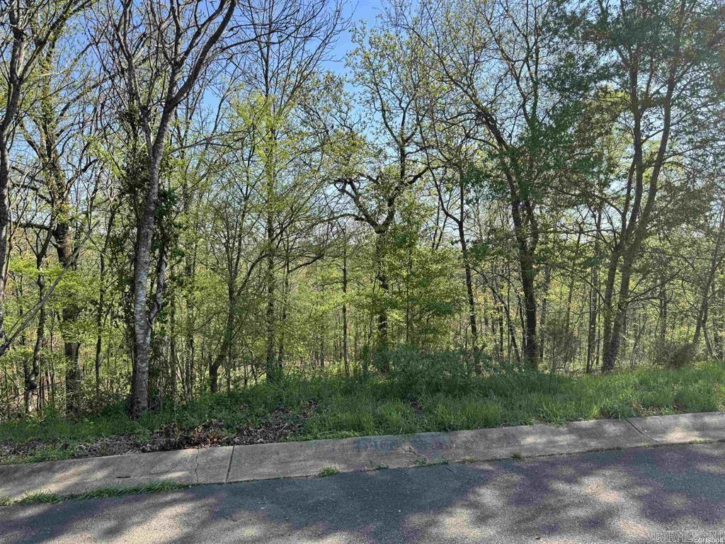Xxx Covey Rise Trail Property Photo 4