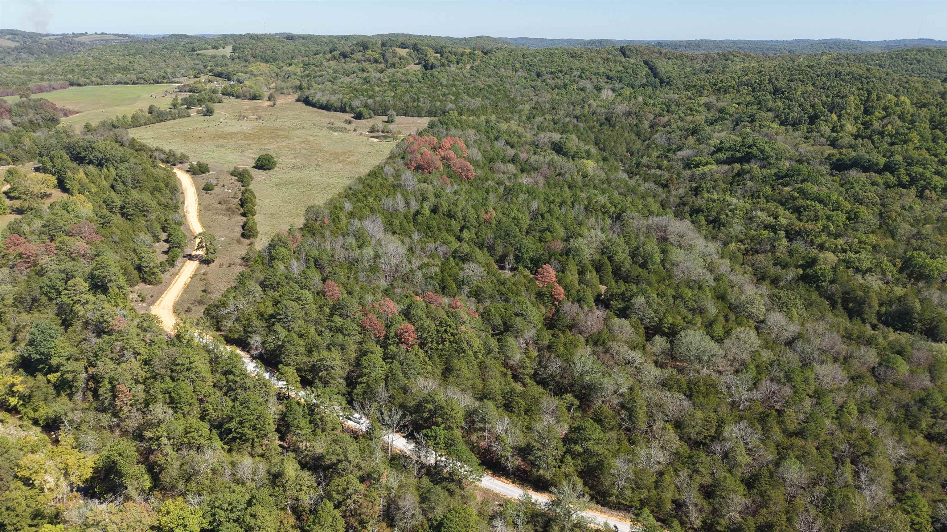 8a Lafferty Road Property Photo 4