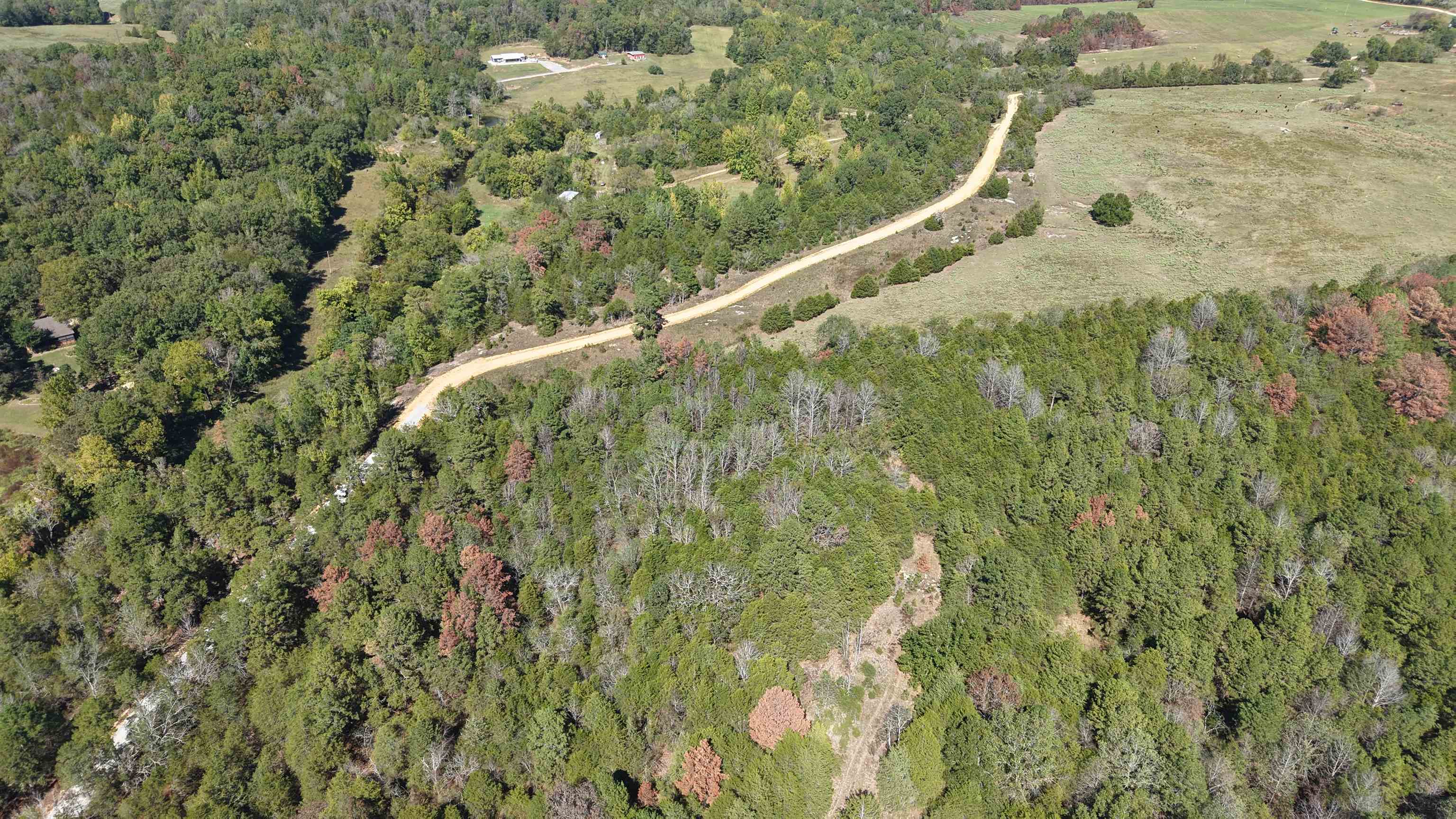 8a Lafferty Road Property Photo 5