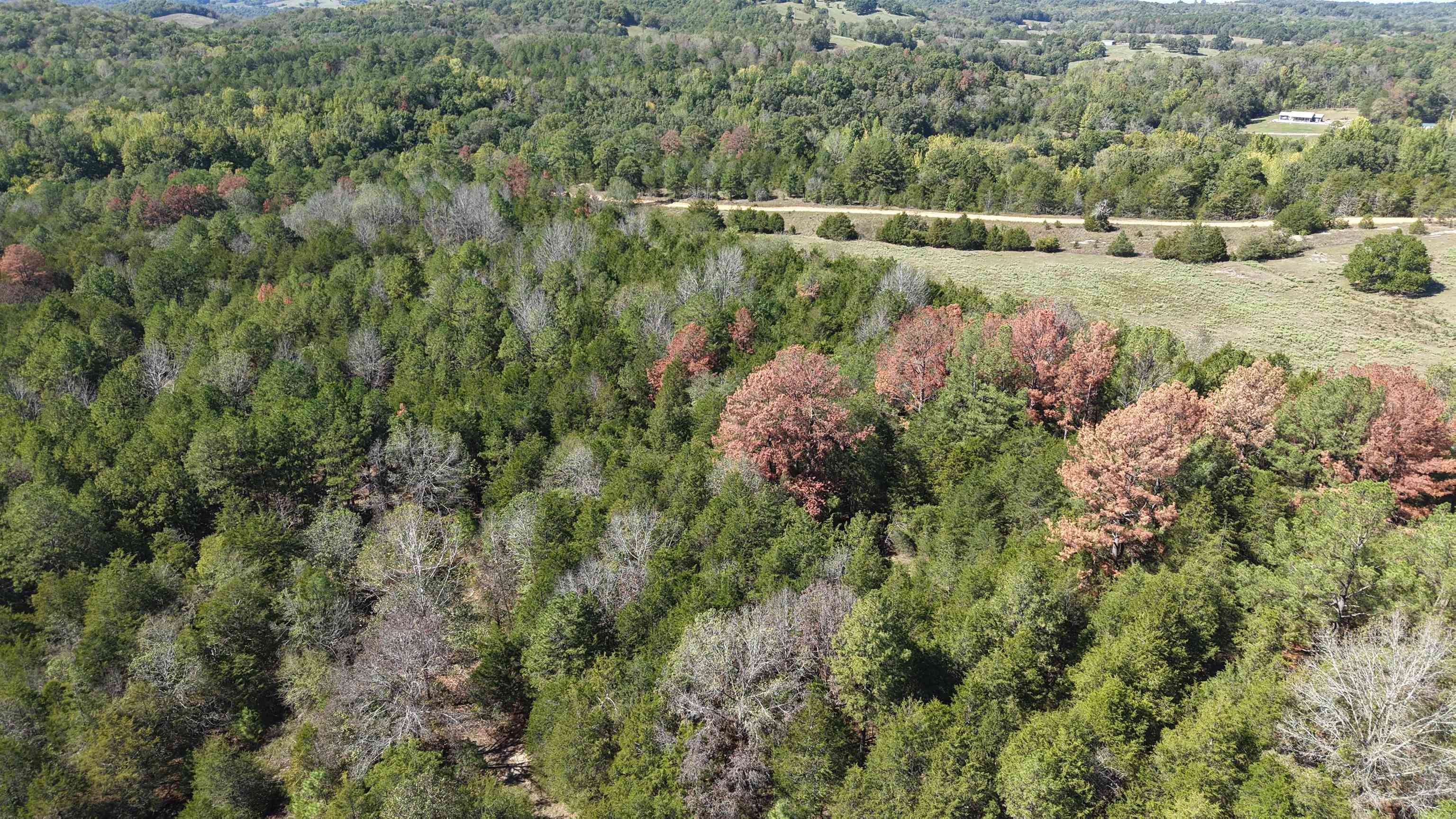8a Lafferty Road Property Photo 8