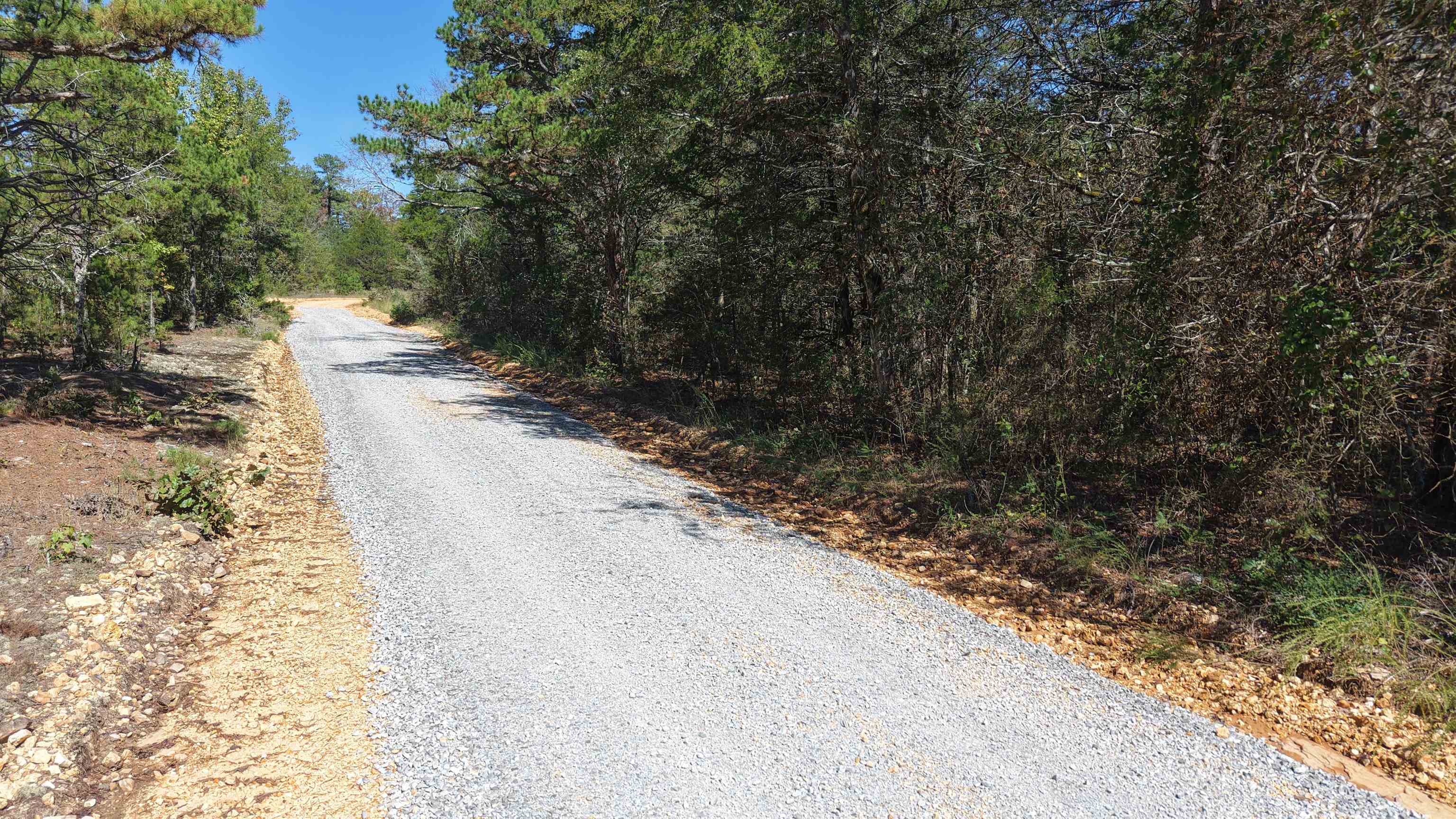 8a Lafferty Road Property Photo 10
