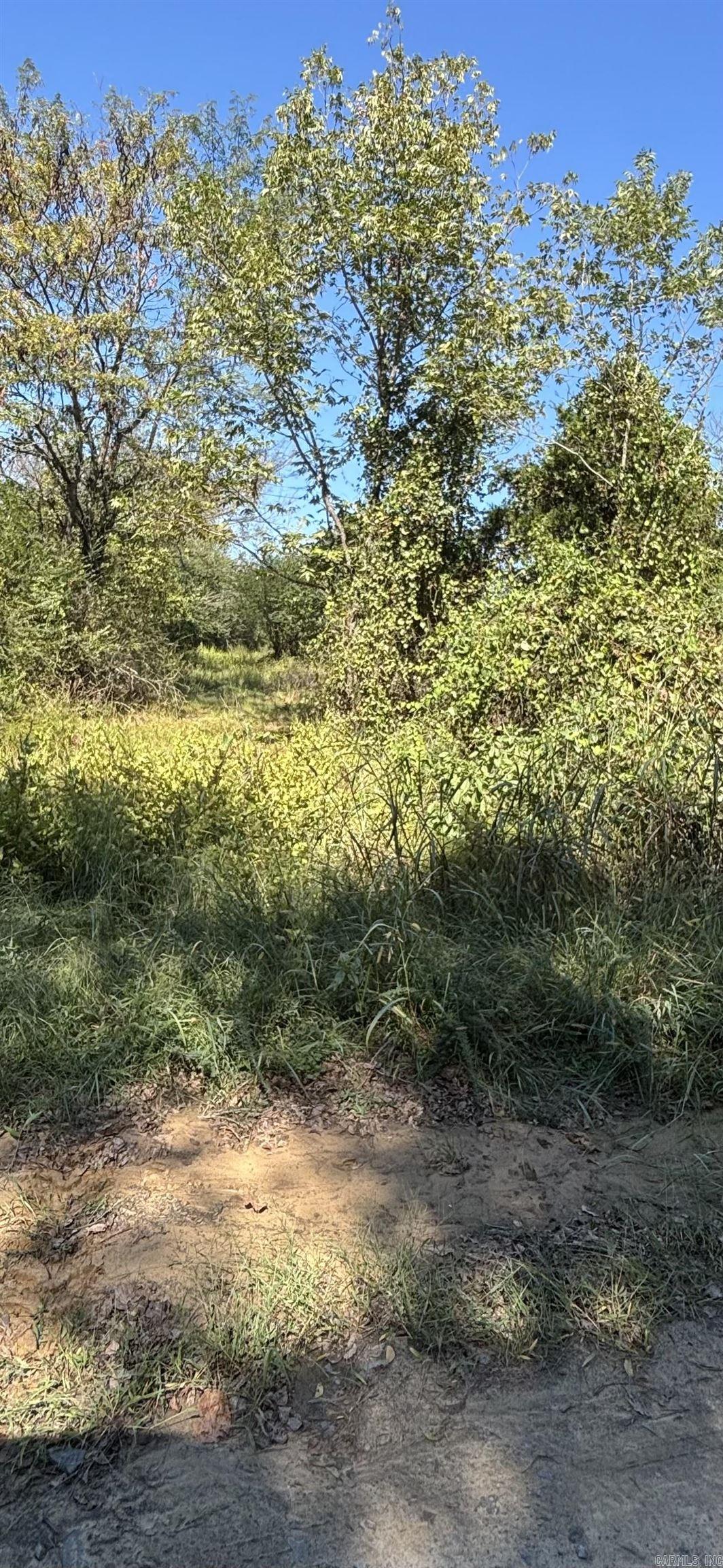 00 Bluegrass Music Road Property Photo 5