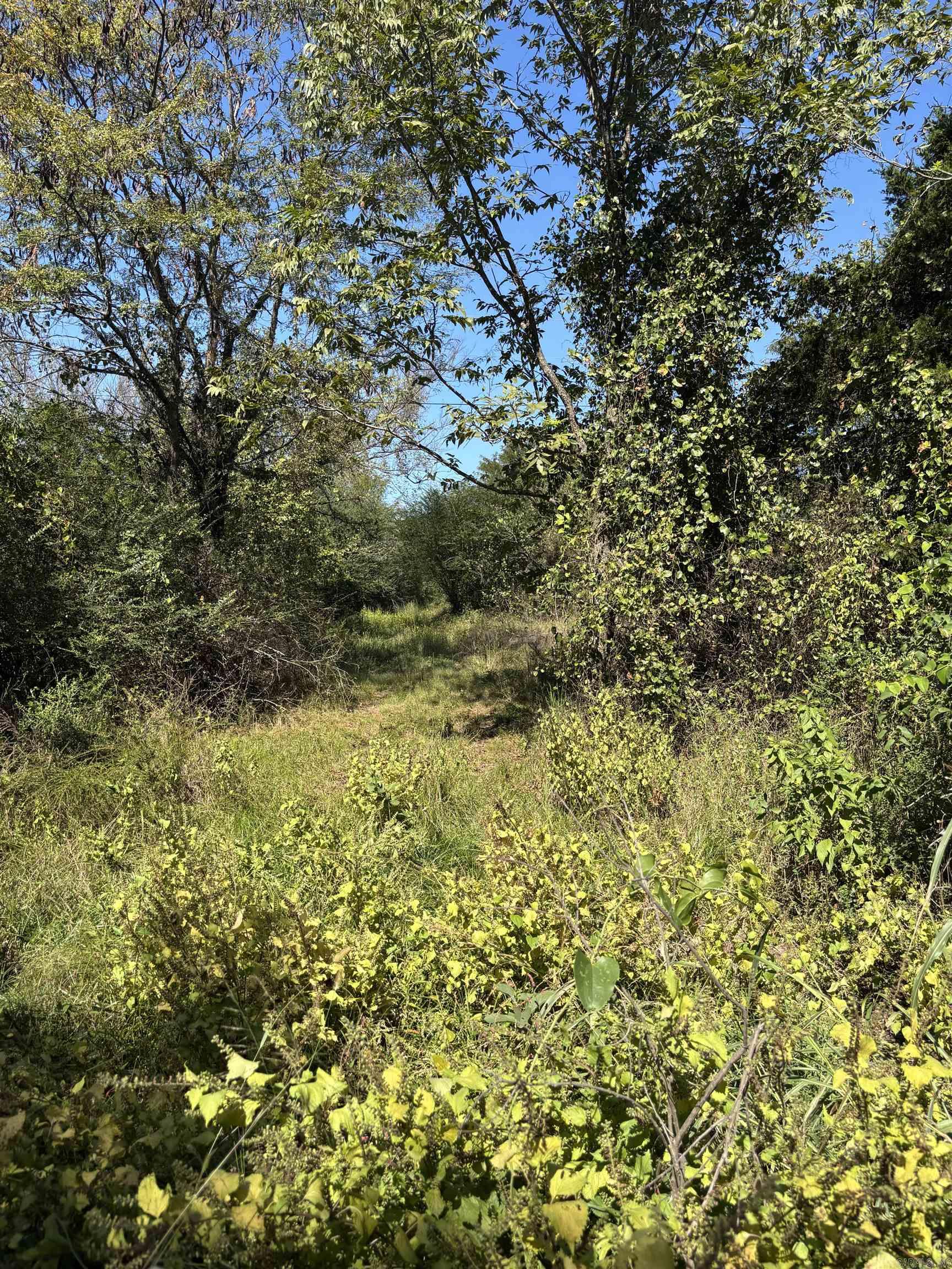 00 Bluegrass Music Road Property Photo 6