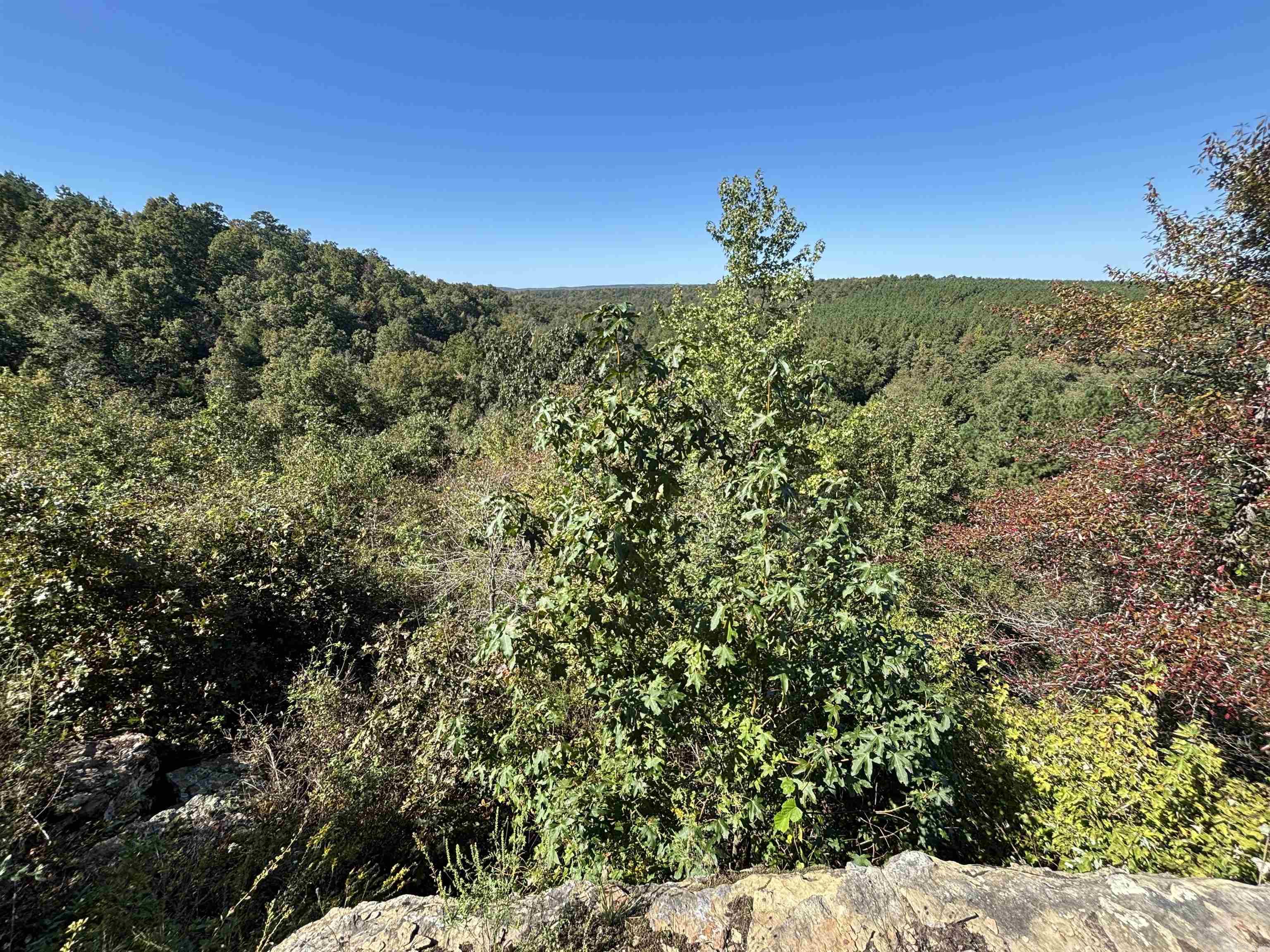 00 Bluegrass Music Road Property Photo 7
