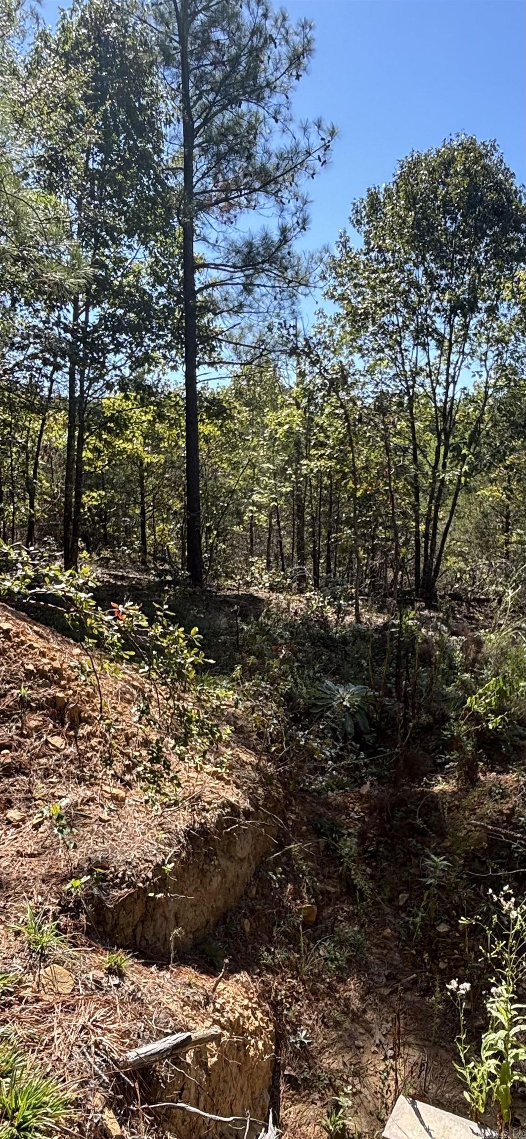 00 Bluegrass Music Road Property Photo 10