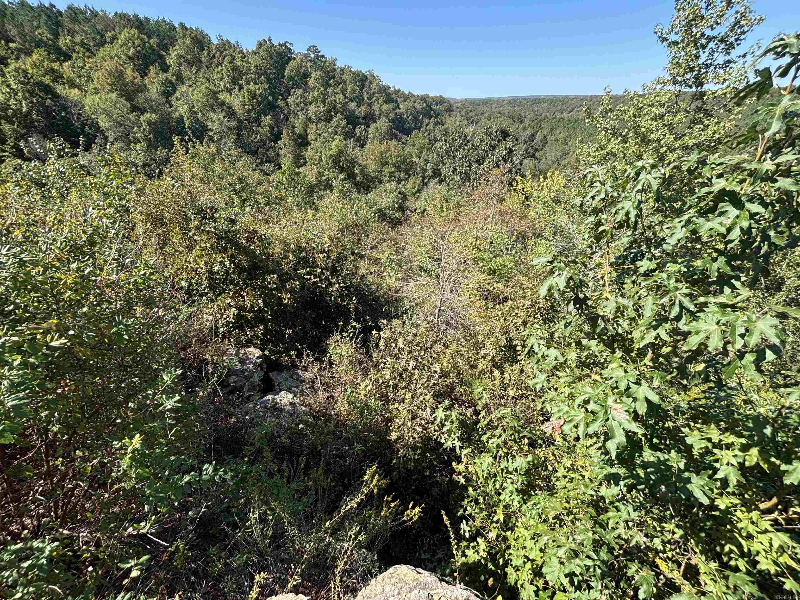 00 Bluegrass Music Road Property Photo 11