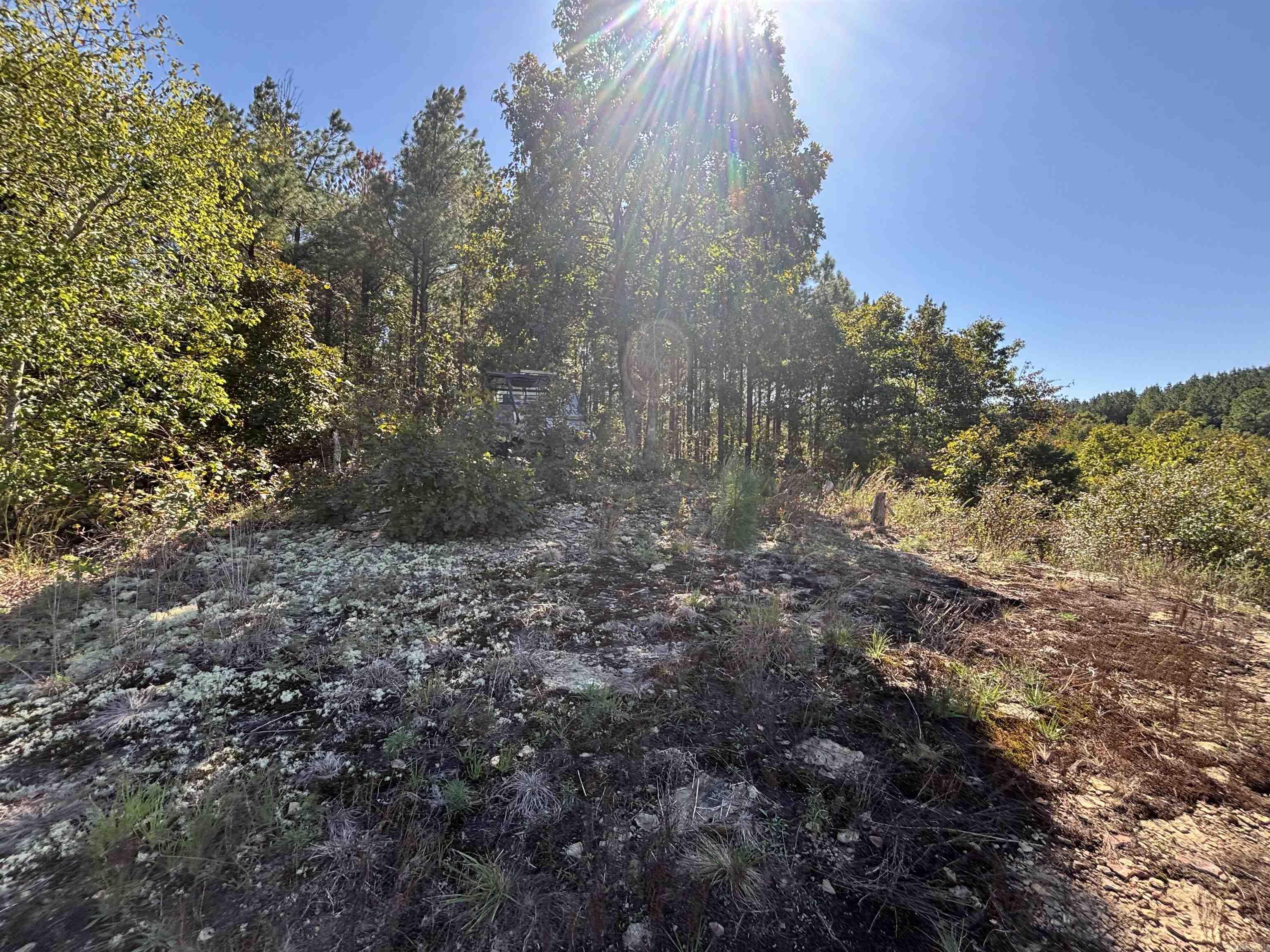 00 Bluegrass Music Road Property Photo 13