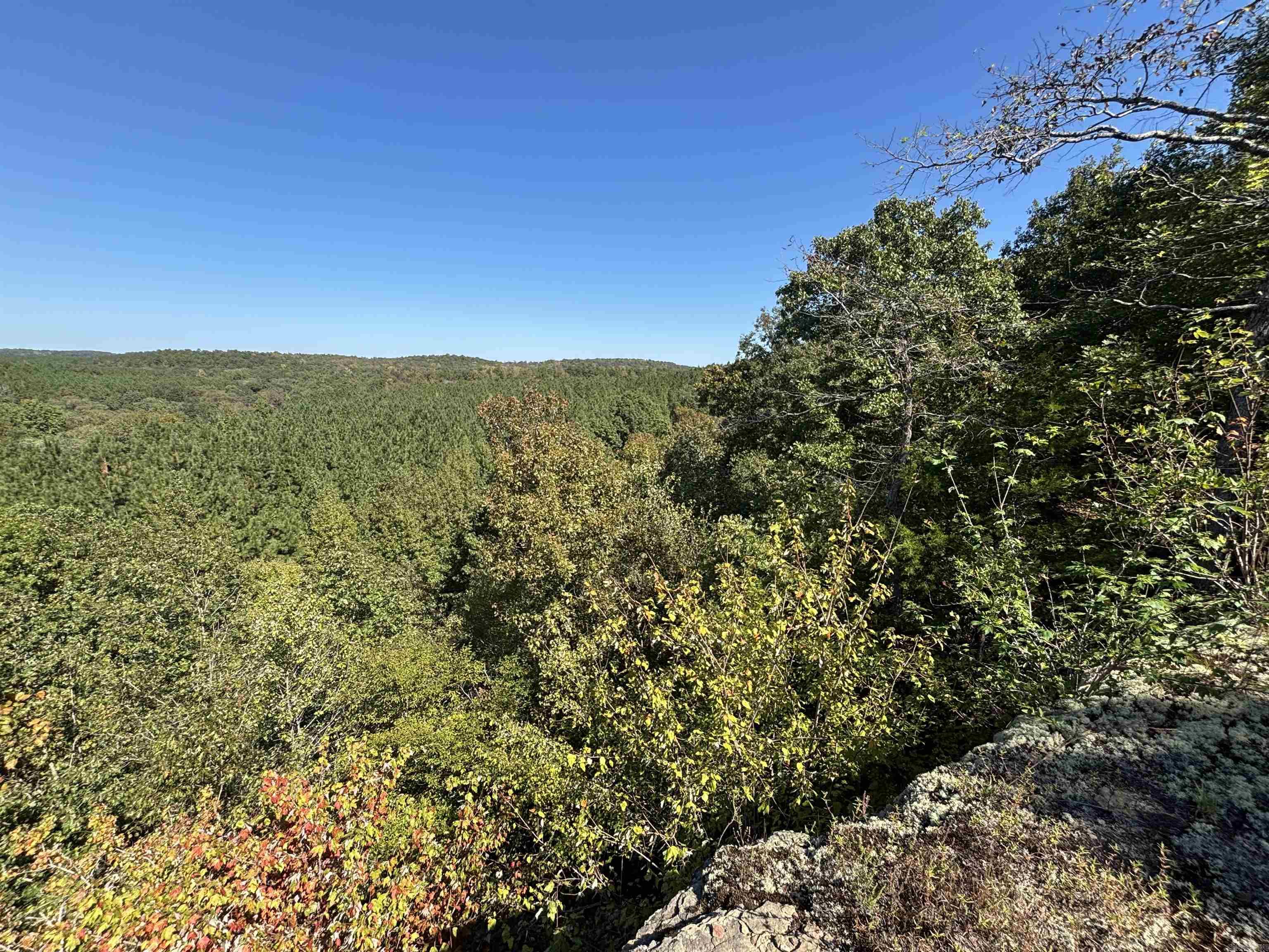 00 Bluegrass Music Road Property Photo 14