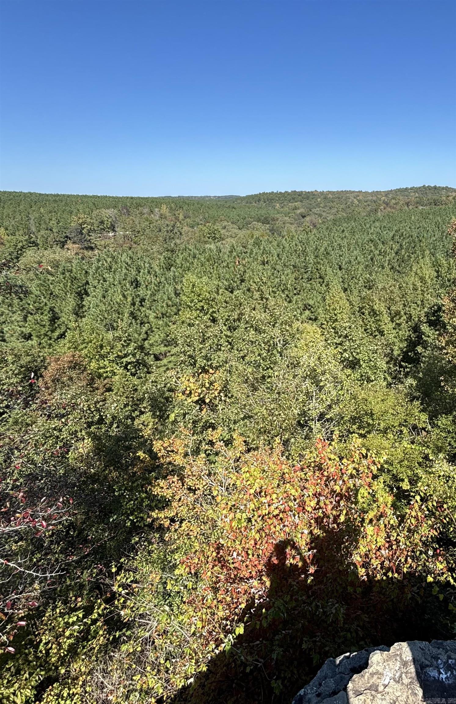 00 Bluegrass Music Road Property Photo 16