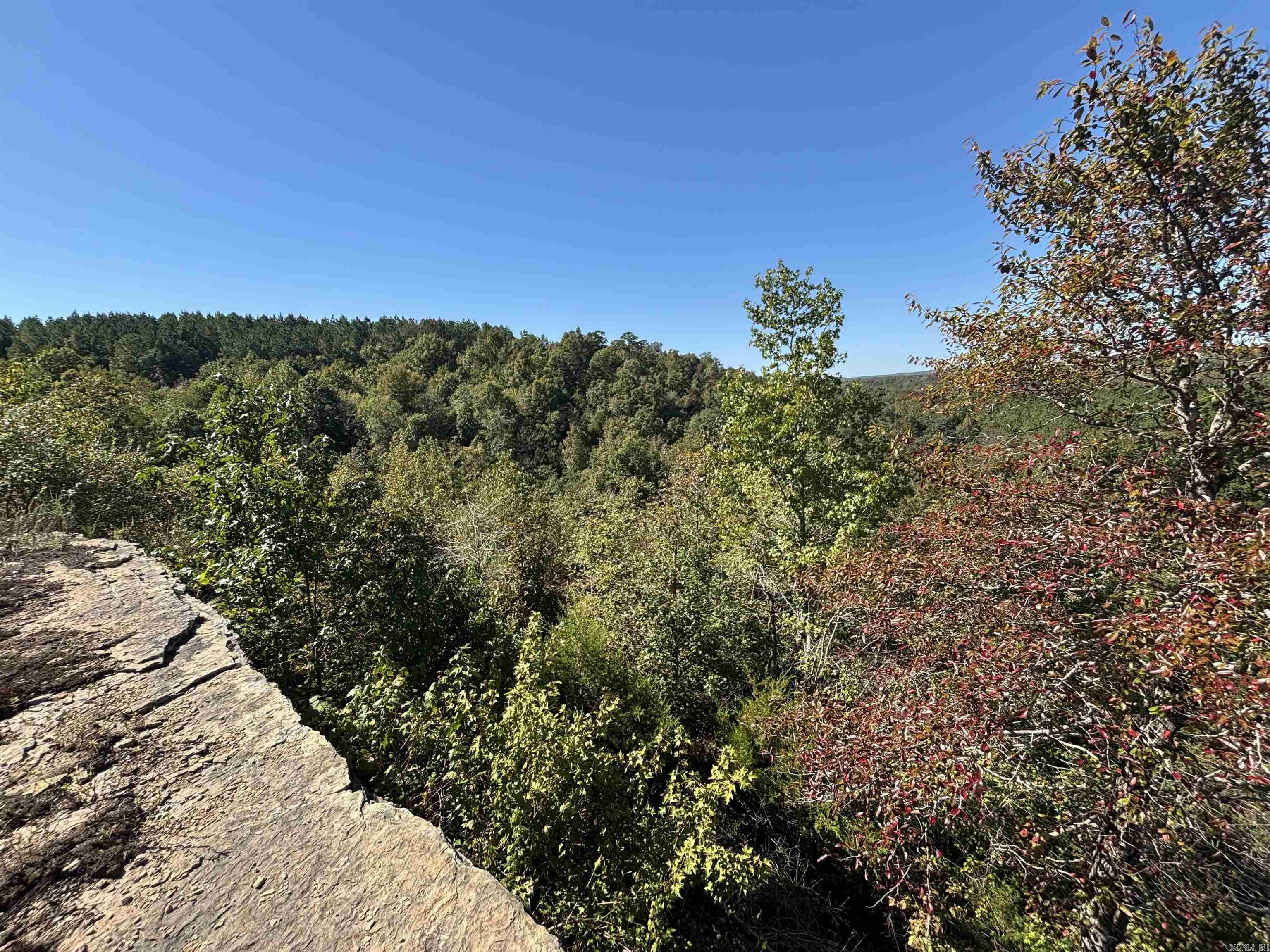 00 Bluegrass Music Road Property Photo 17