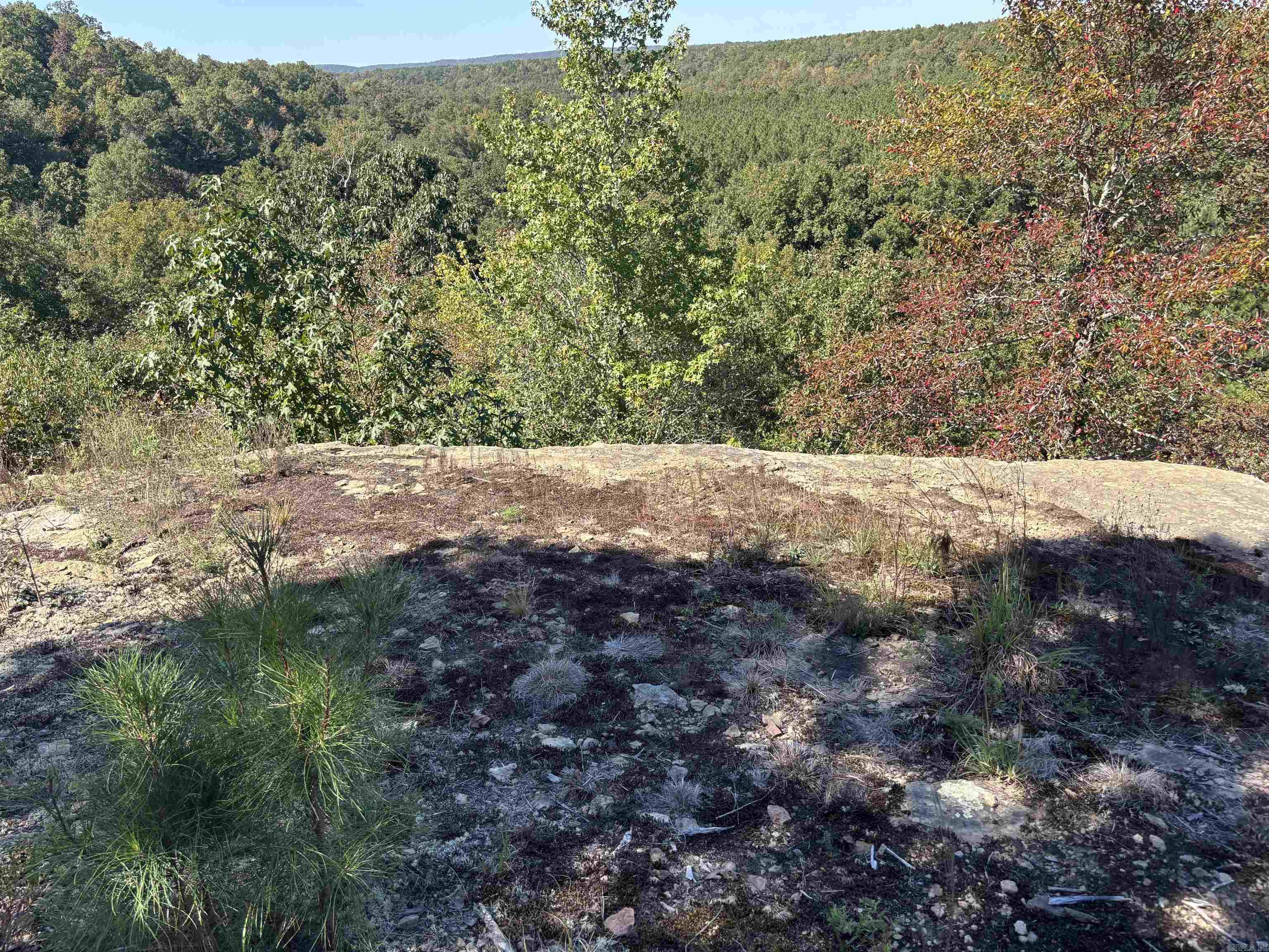 00 Bluegrass Music Road Property Photo 18
