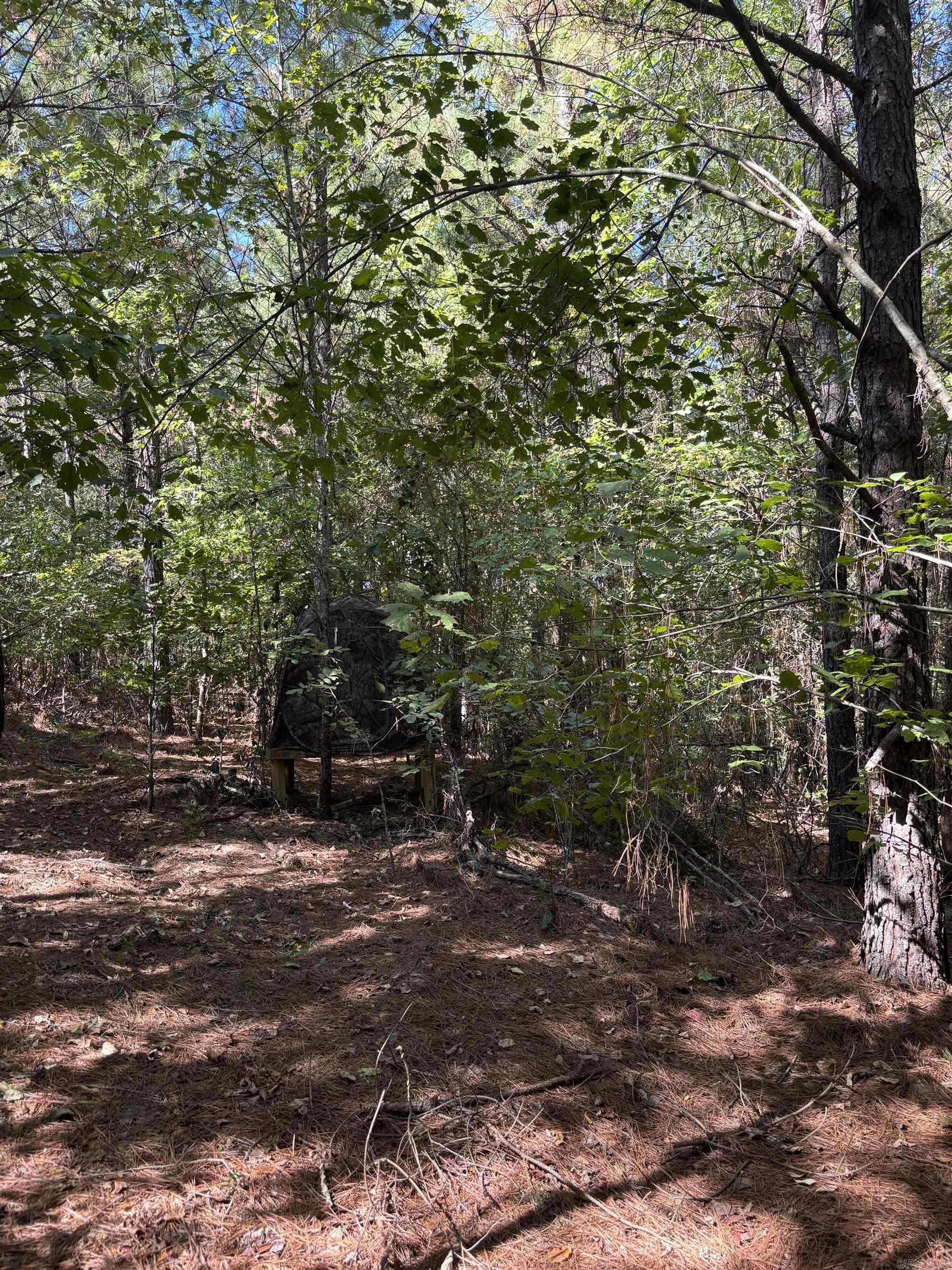 00 Bluegrass Music Road Property Photo 19