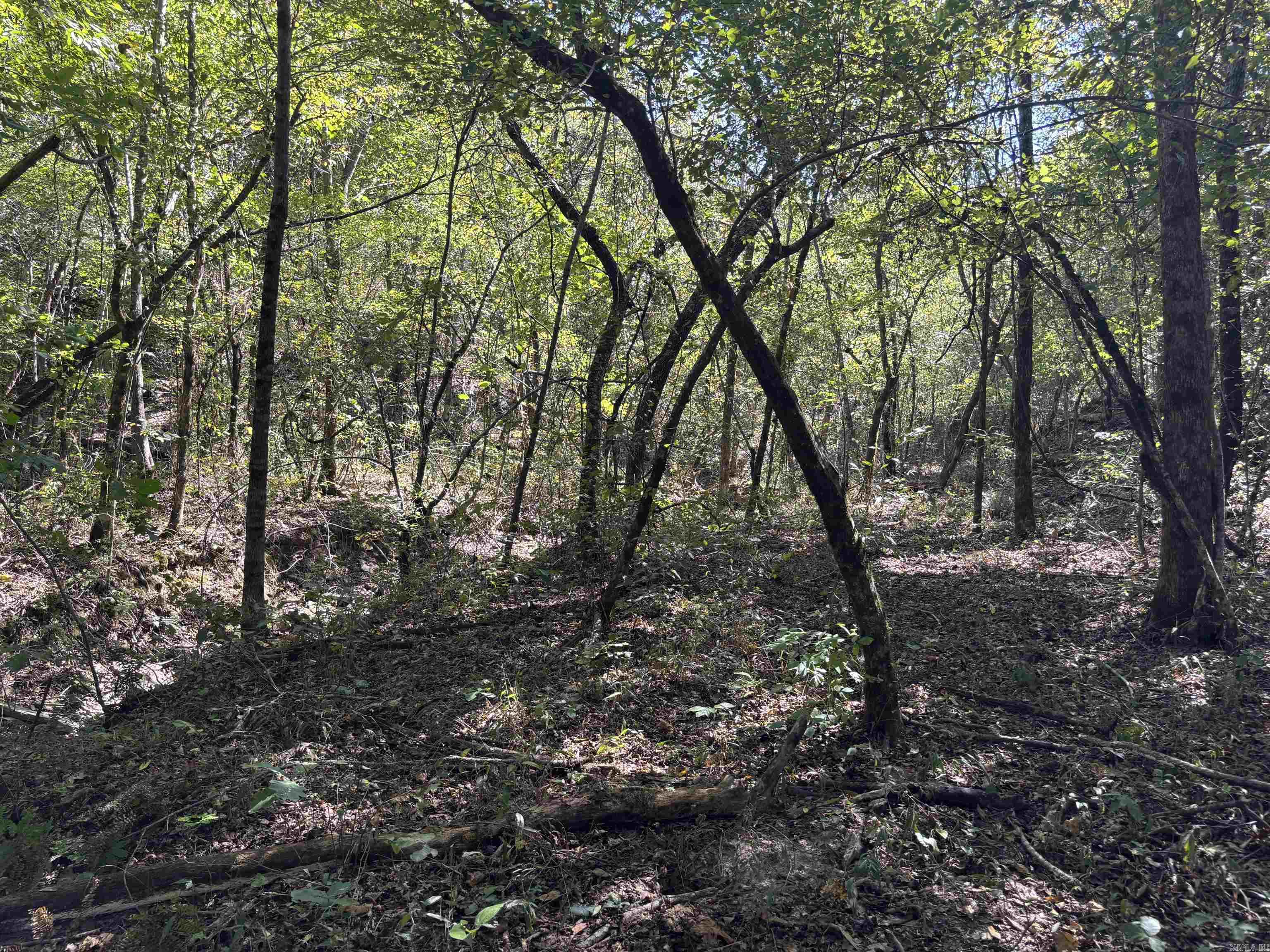 00 Bluegrass Music Road Property Photo 20