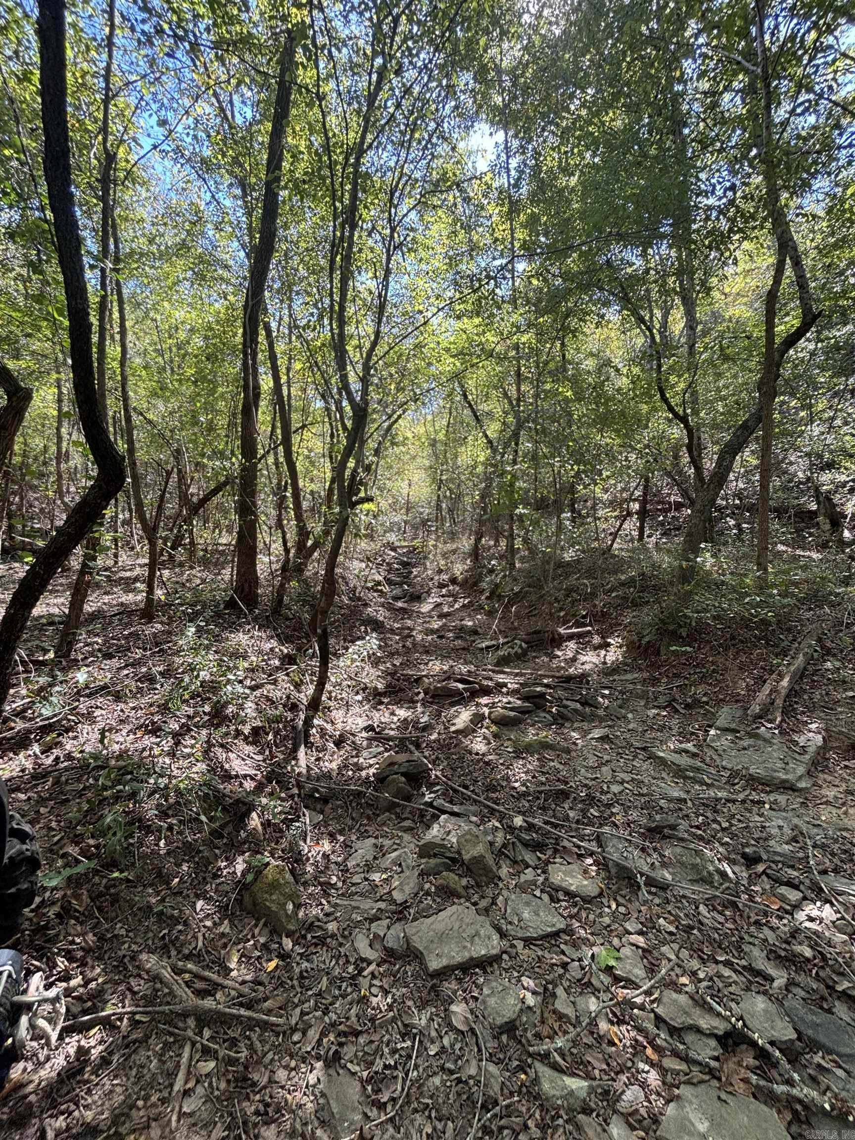 00 Bluegrass Music Road Property Photo 21