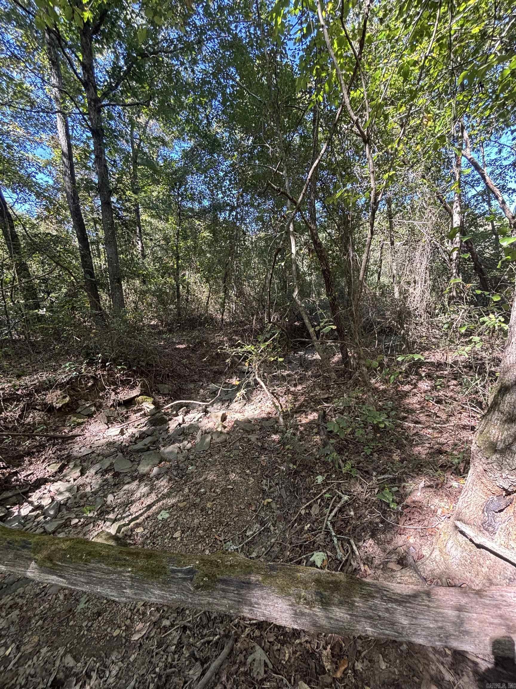 00 Bluegrass Music Road Property Photo 22