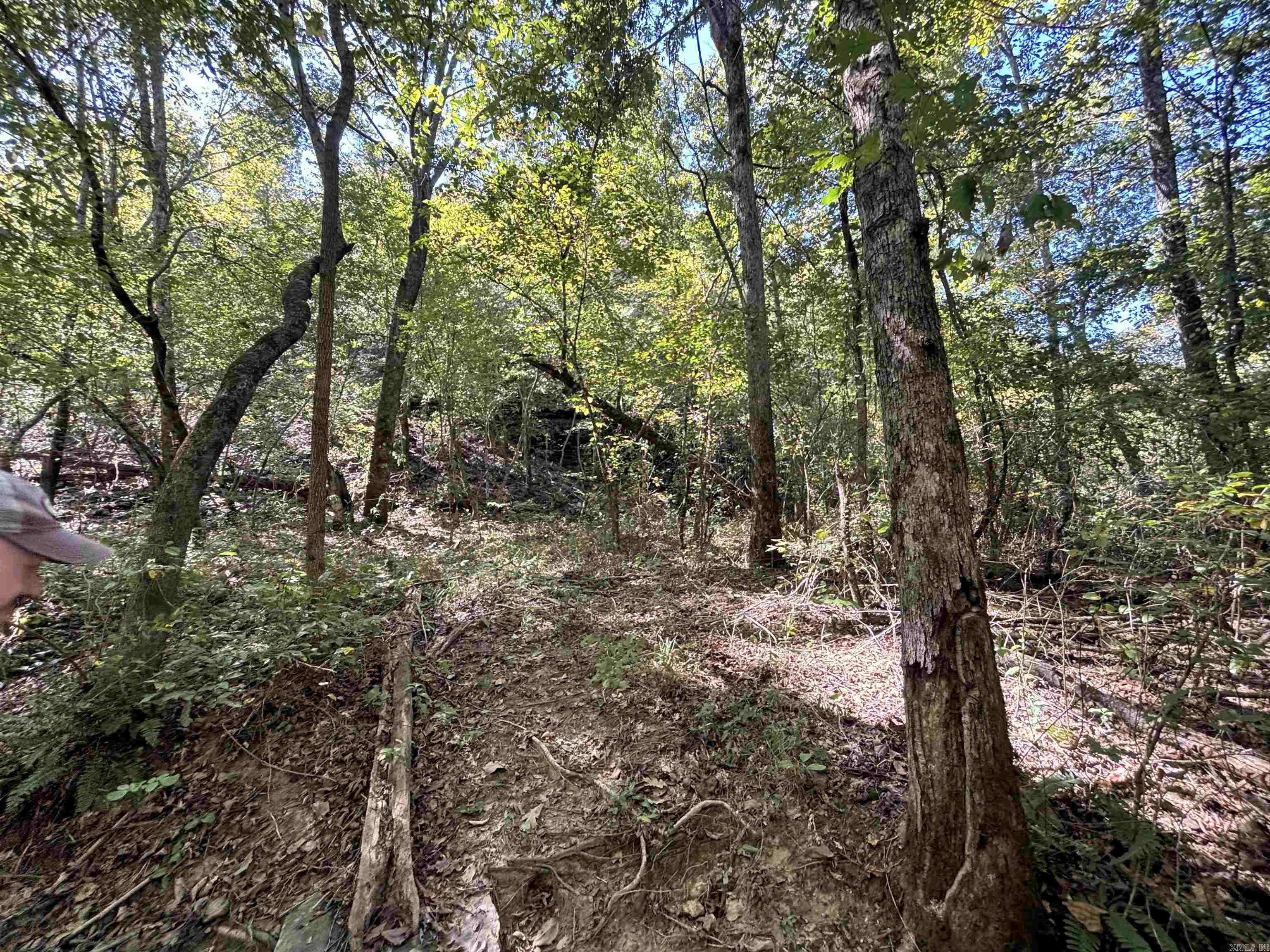 00 Bluegrass Music Road Property Photo 23