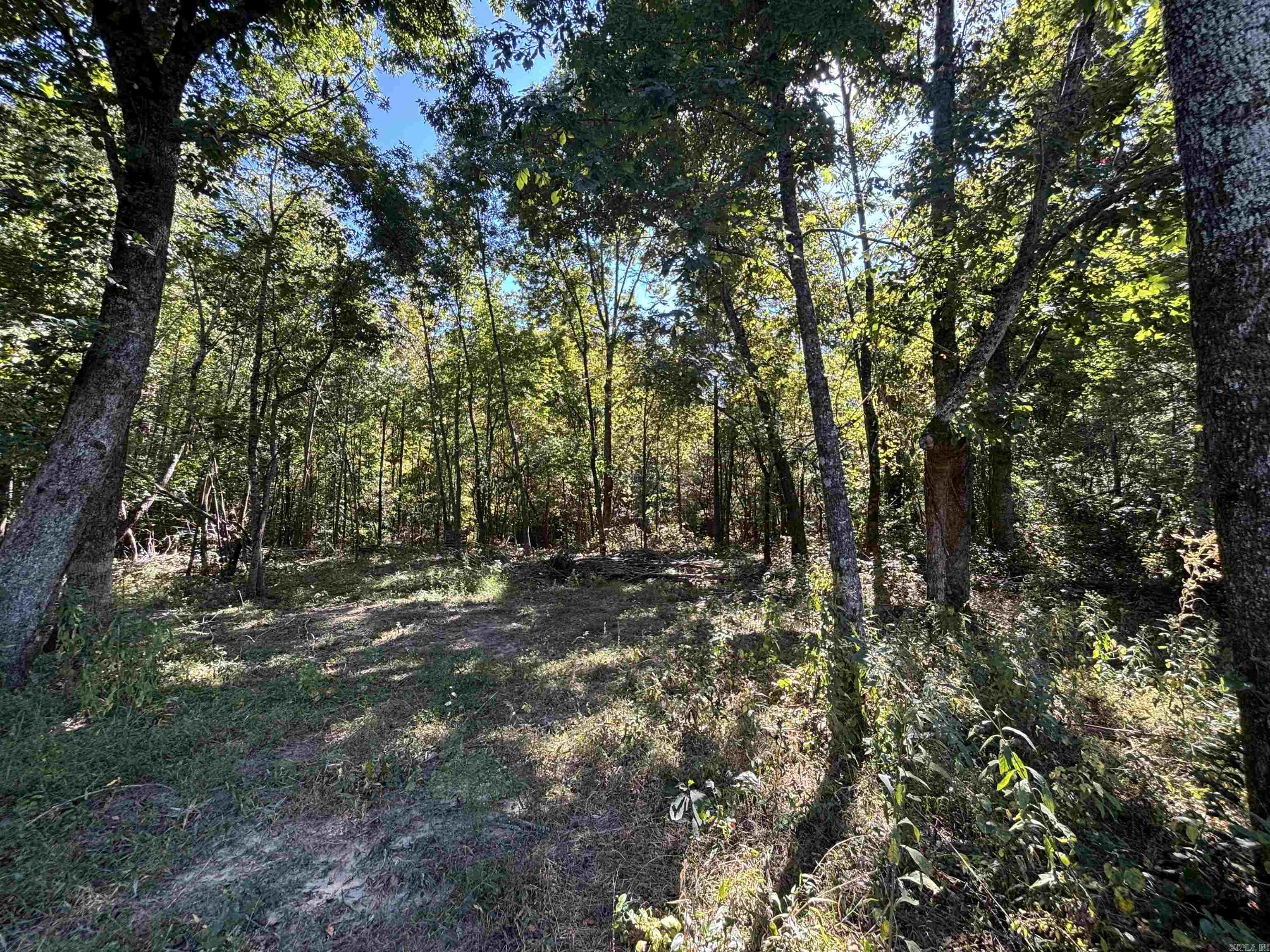 00 Bluegrass Music Road Property Photo 25