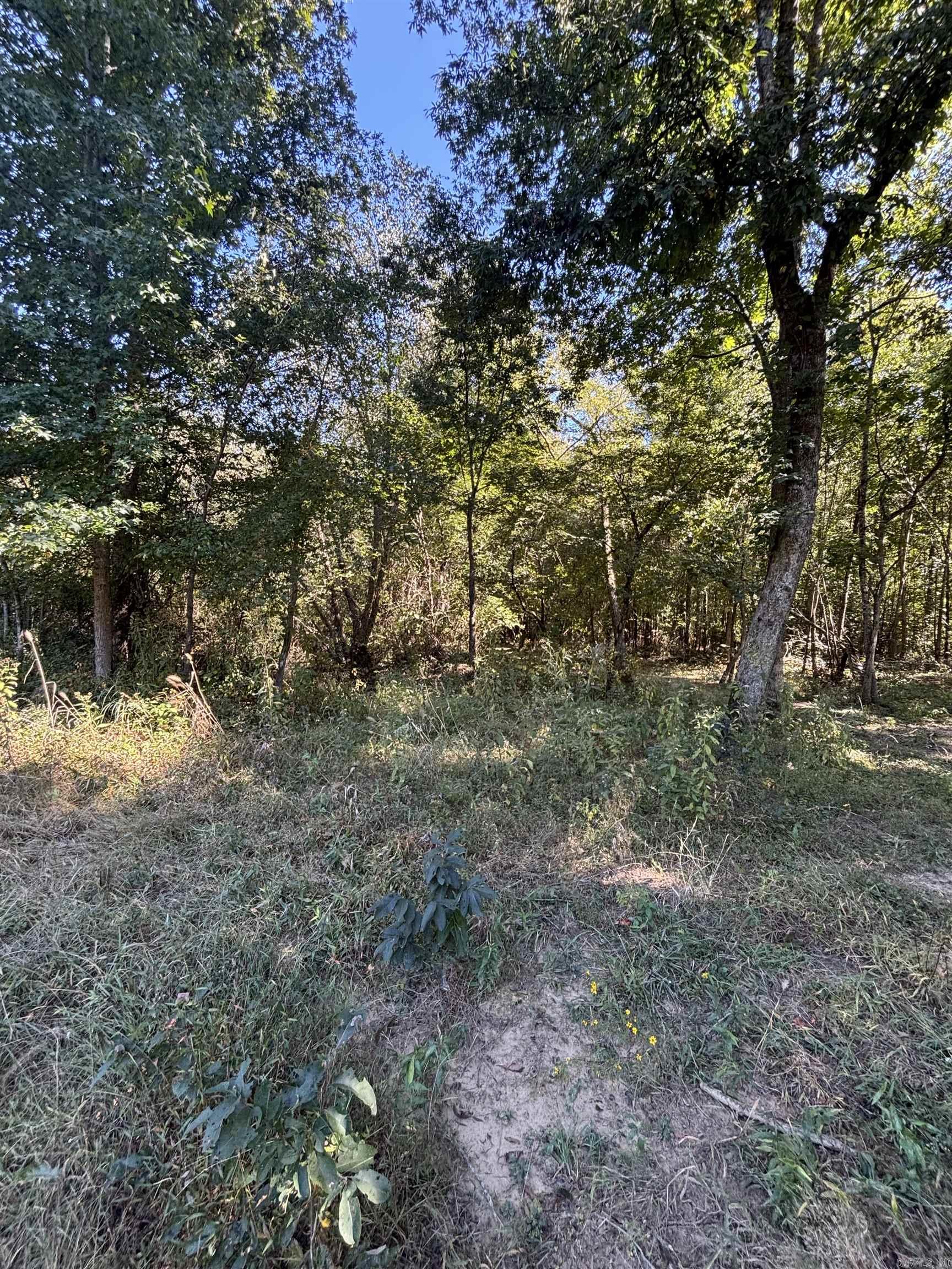 00 Bluegrass Music Road Property Photo 26