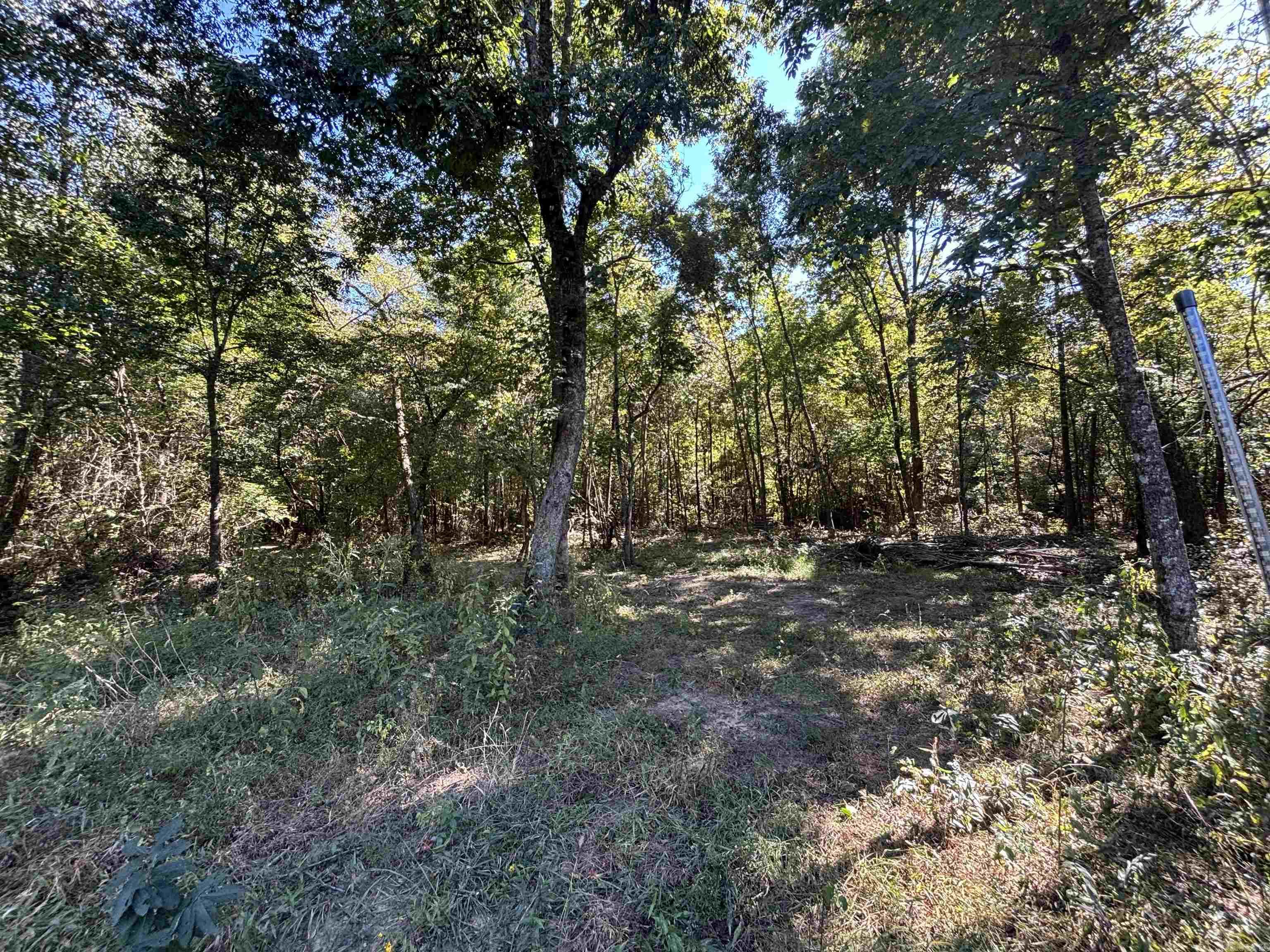 00 Bluegrass Music Road Property Photo 28