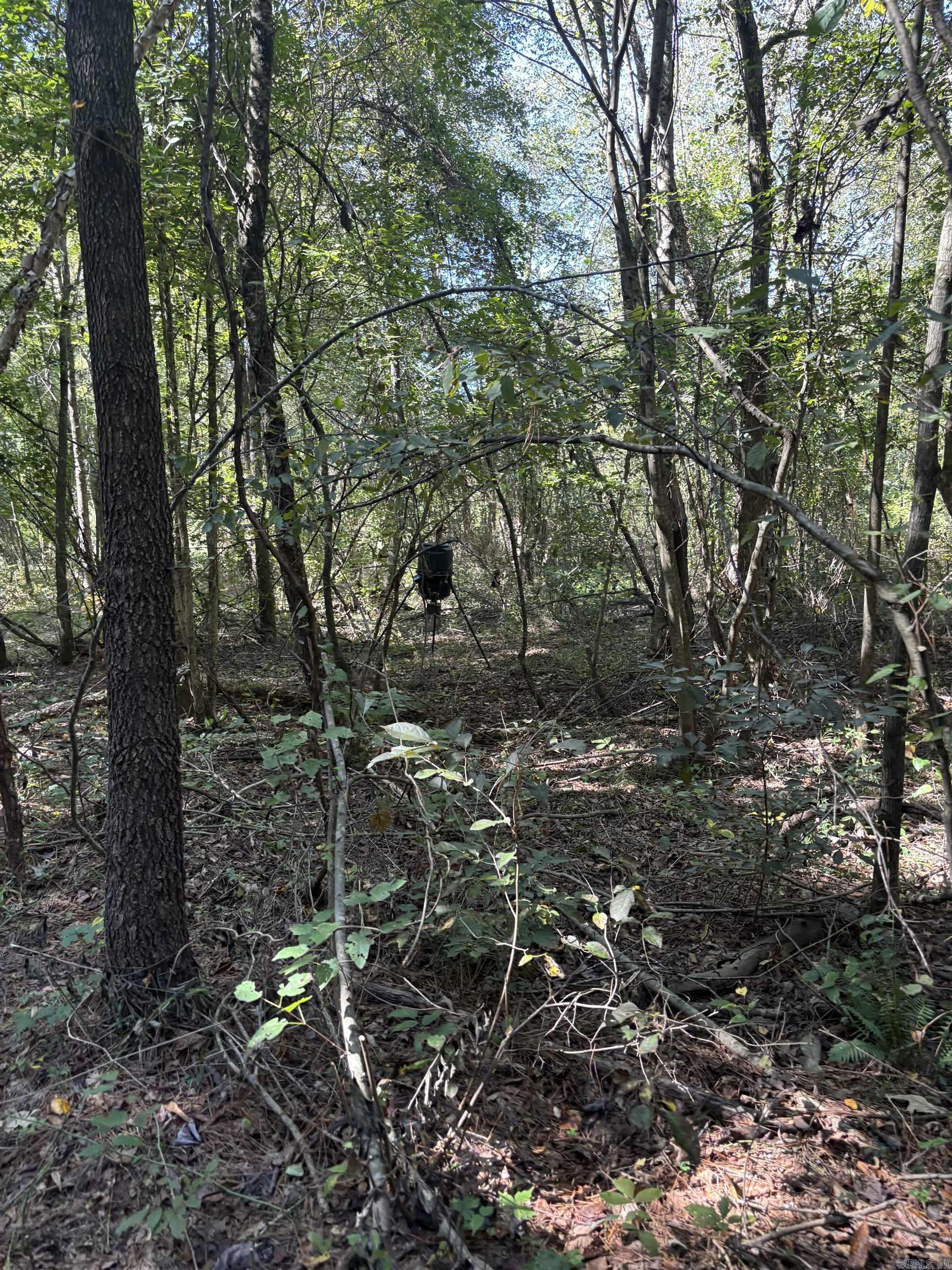 00 Bluegrass Music Road Property Photo 32