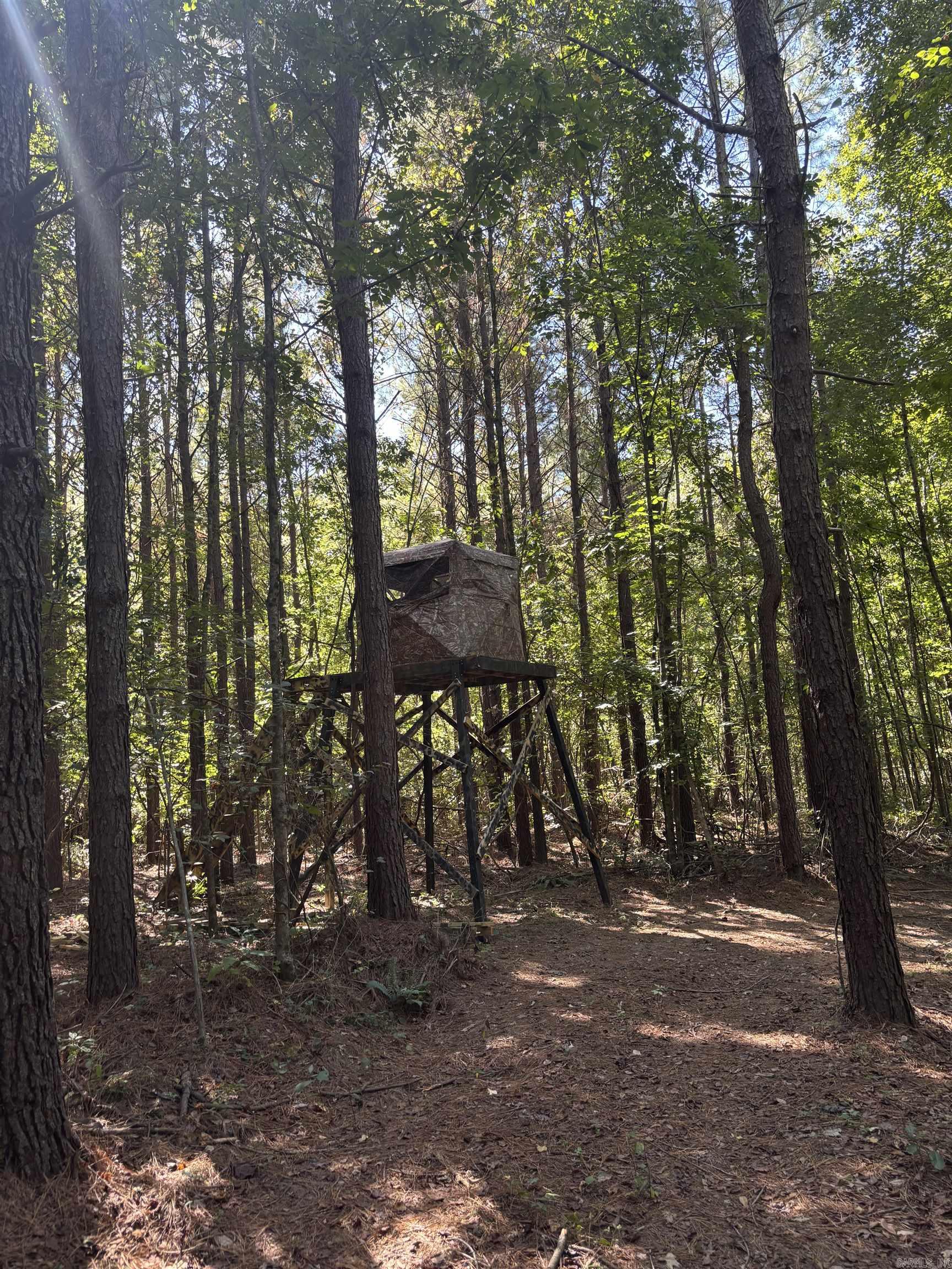 00 Bluegrass Music Road Property Photo 33