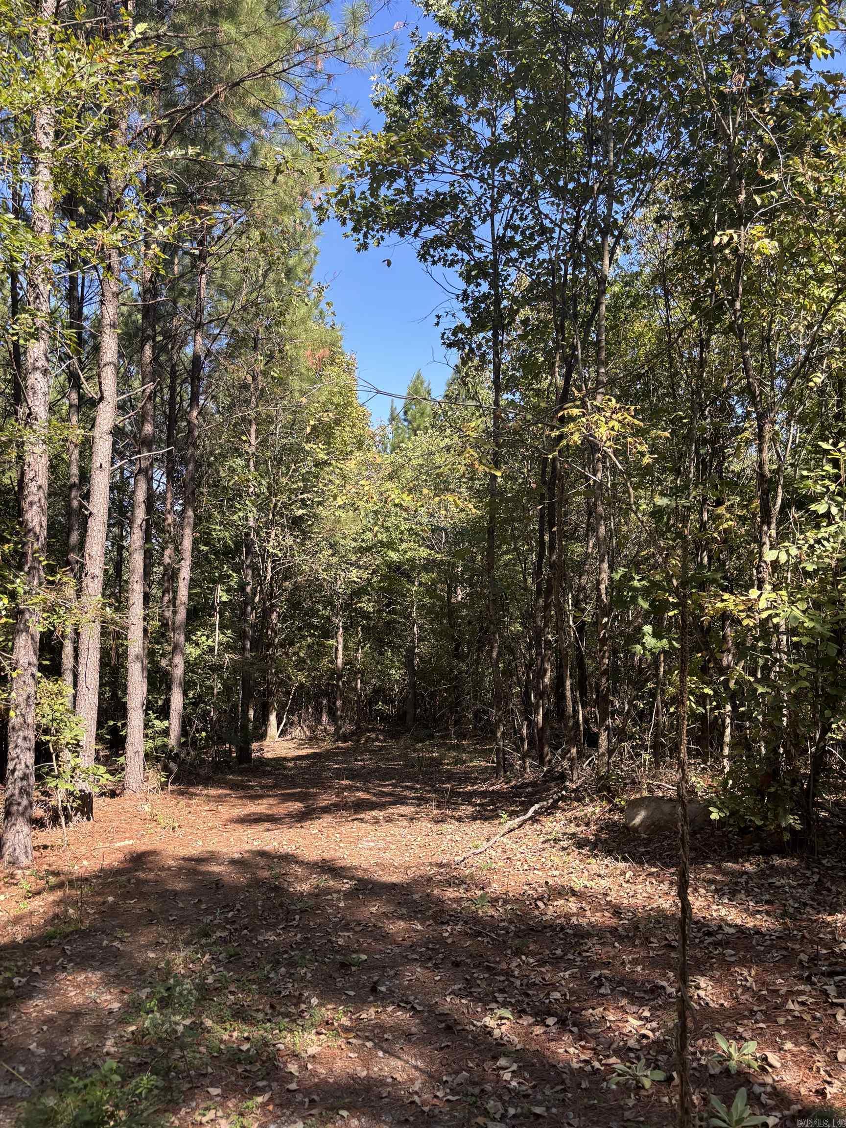 00 Bluegrass Music Road Property Photo 35