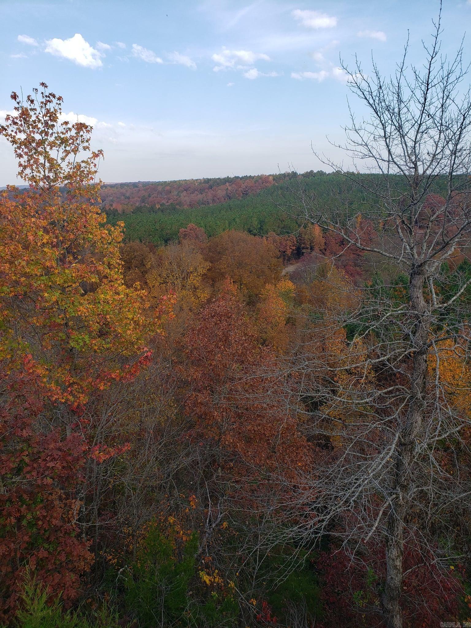 00 Bluegrass Music Road Property Photo 37
