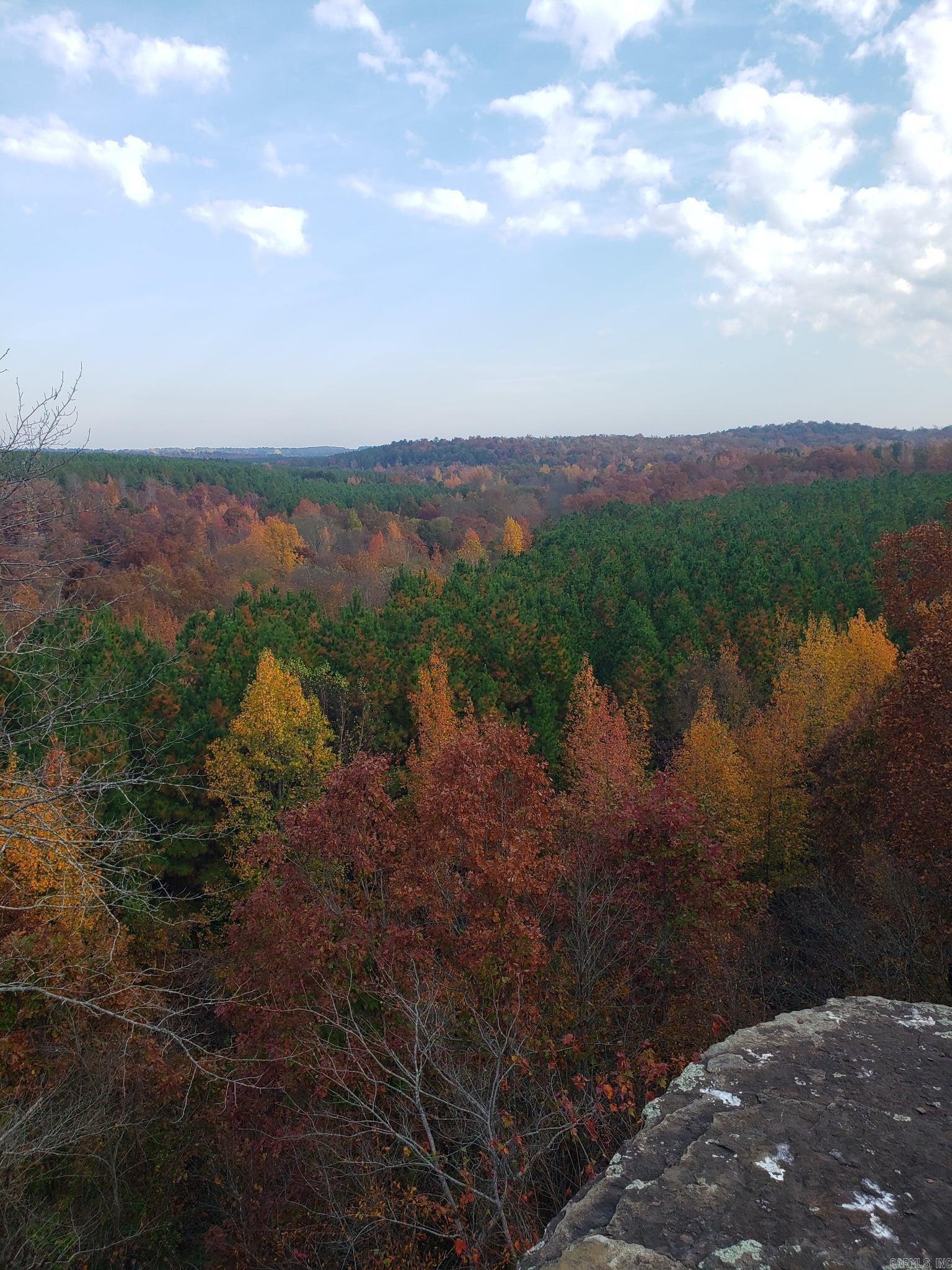 00 Bluegrass Music Road Property Photo 38