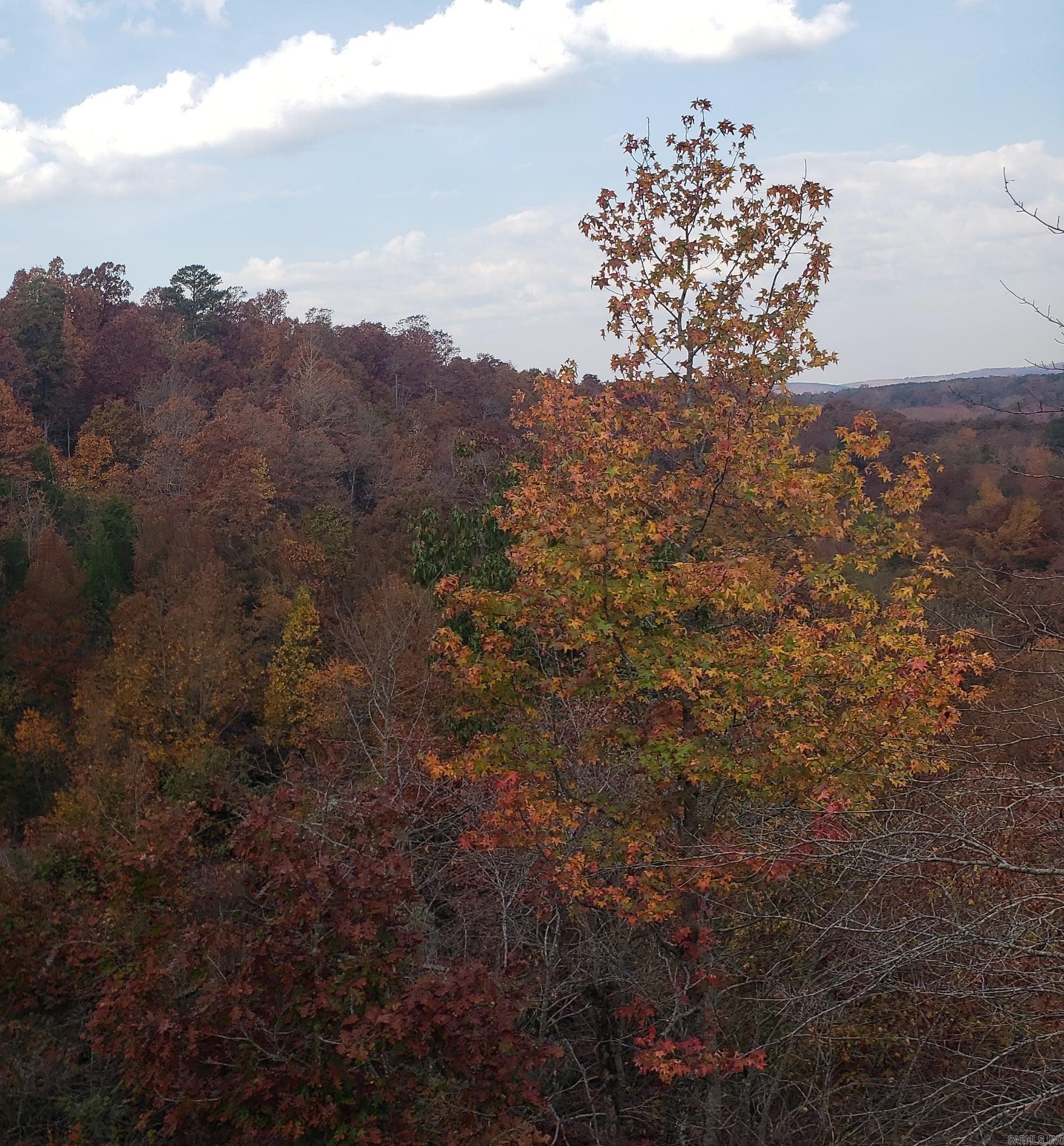 00 Bluegrass Music Road Property Photo 40