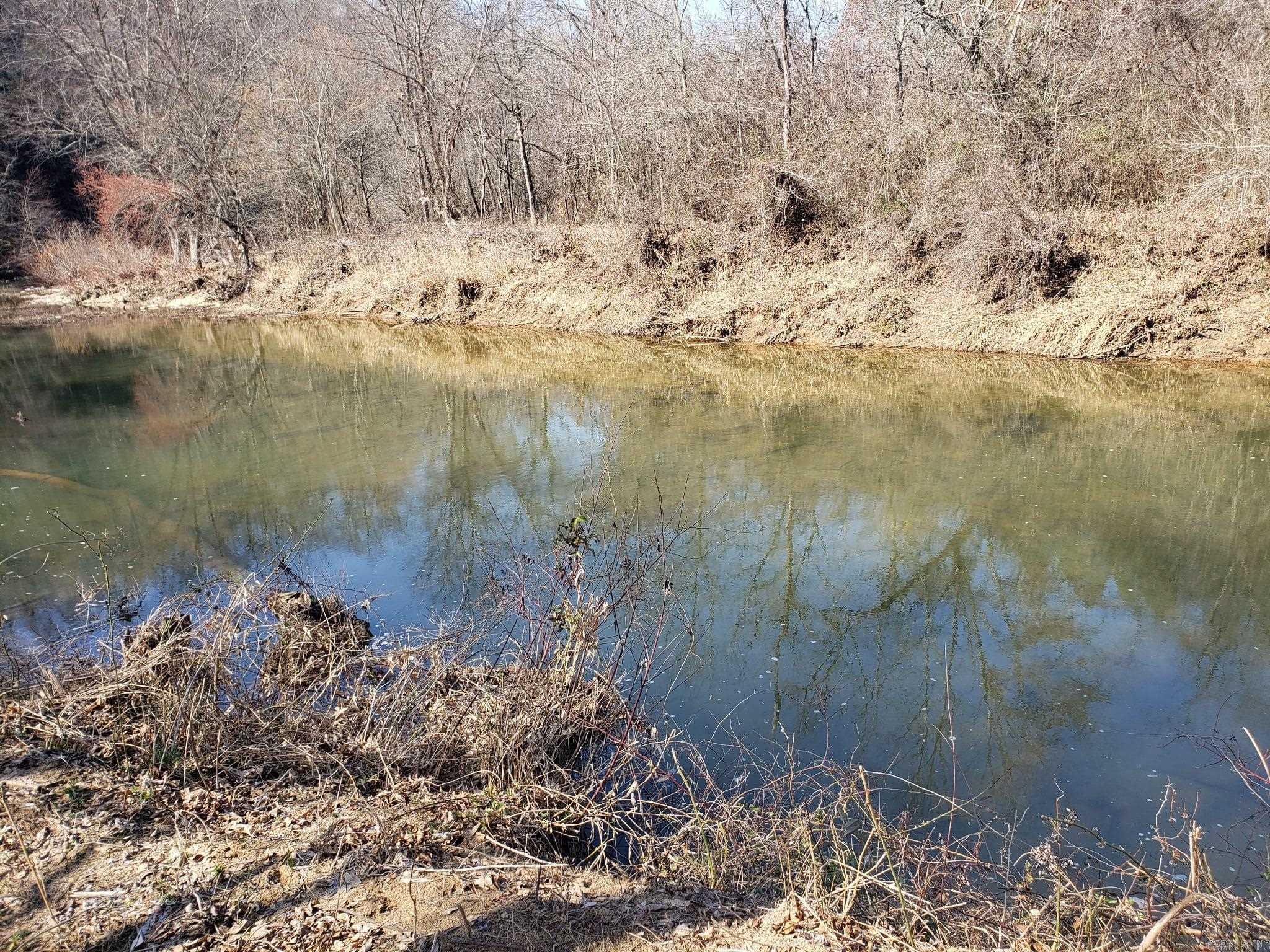 00 Bluegrass Music Road Property Photo 41