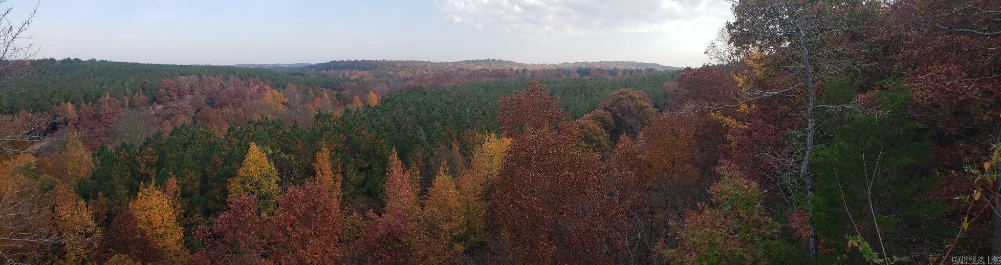 00 Bluegrass Music Road Property Photo 43